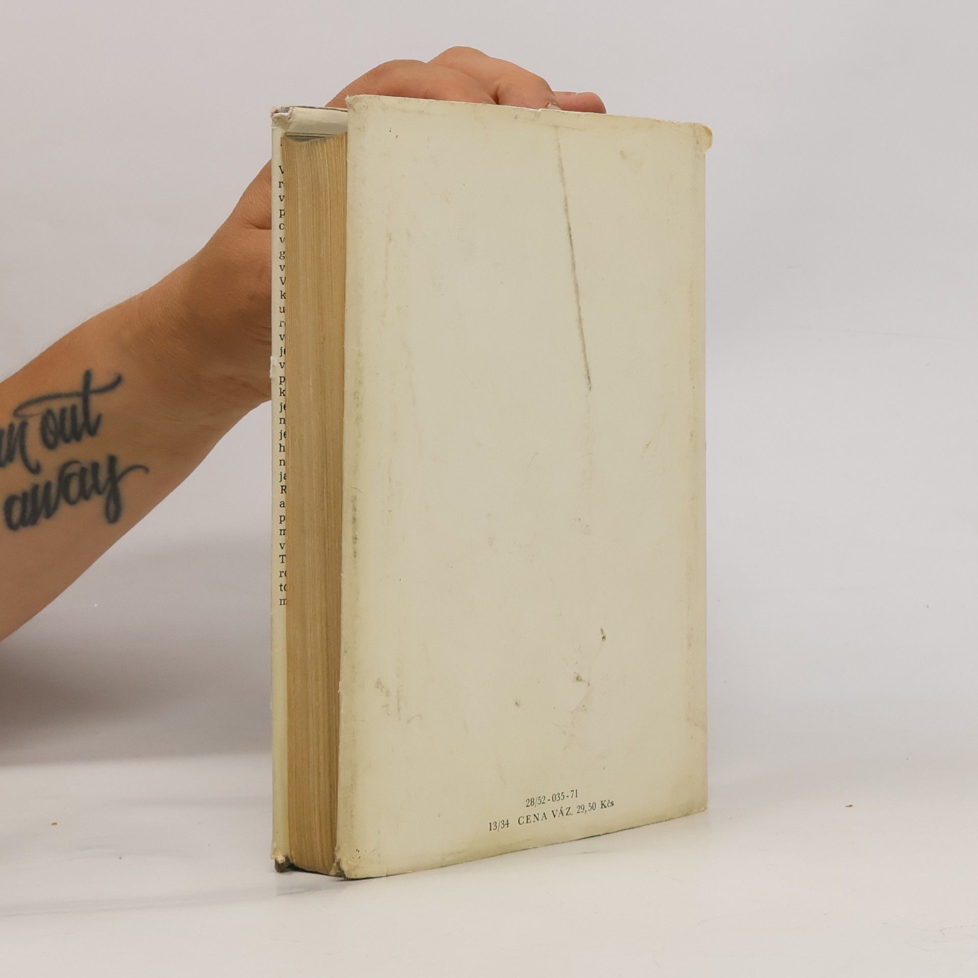 Erich Maria Remarque Vítězný oblouk