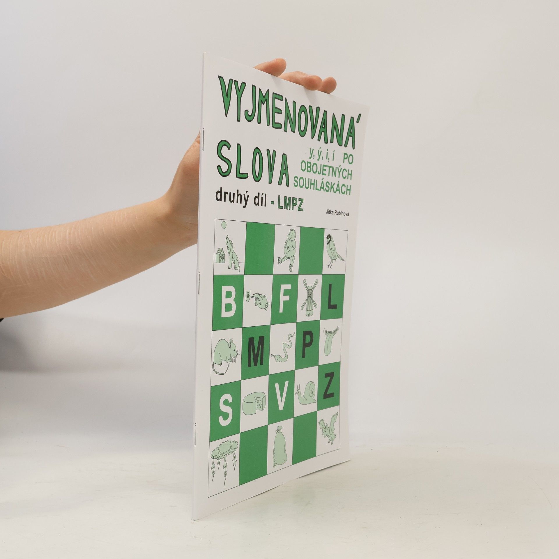 Vyjmenovaná slova : pracovní sešit pro 3. ročník základní školy. 2. díl, LMPZ y, ý, i, í po obojetných souhláskách