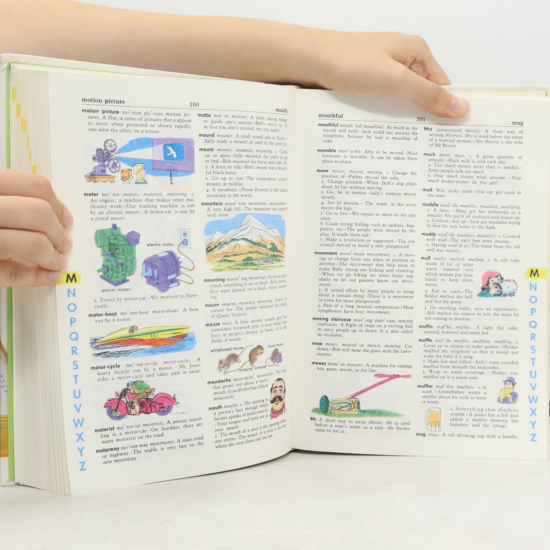 Stuart A. Courtis The Giant All-Colour Dictionary