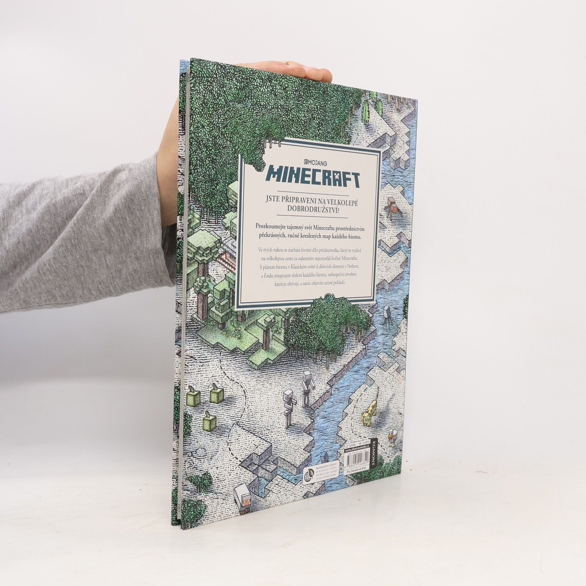 Stephanie Milton Minecraft atlas
