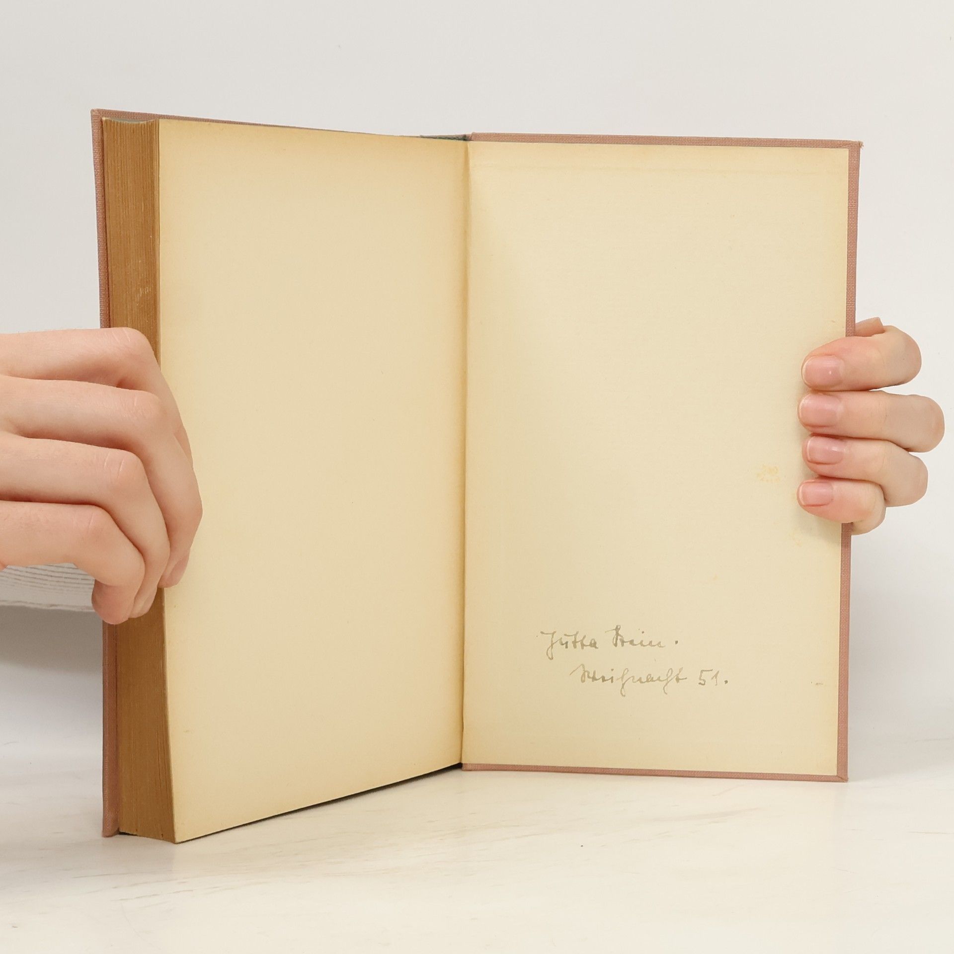 Frank Stuart Die Stadt der Bienen