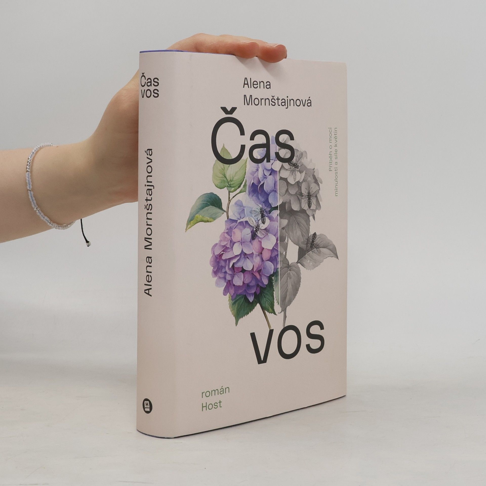 Čas vos