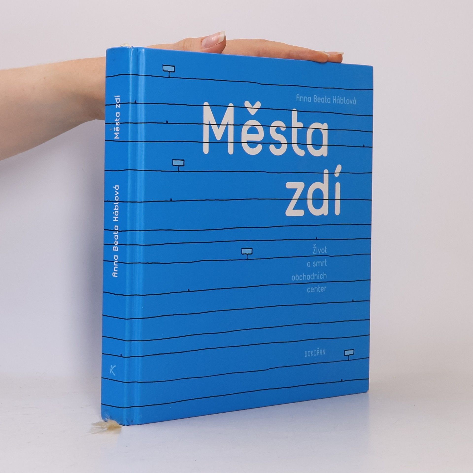 Anna Beata Háblová Města zdí. Život a smrt obchodních center