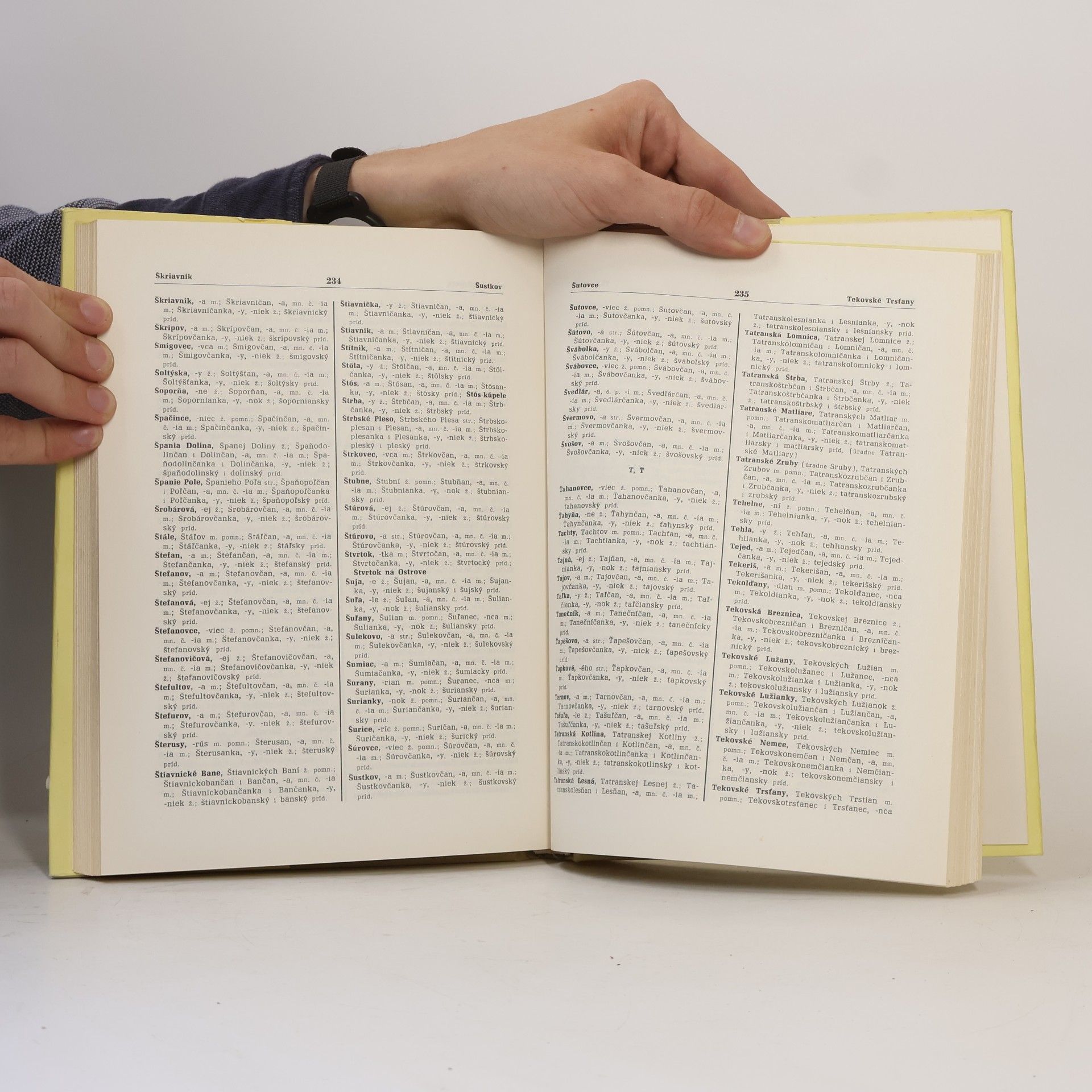 Various authors Slovník slovenského jazyka VI.