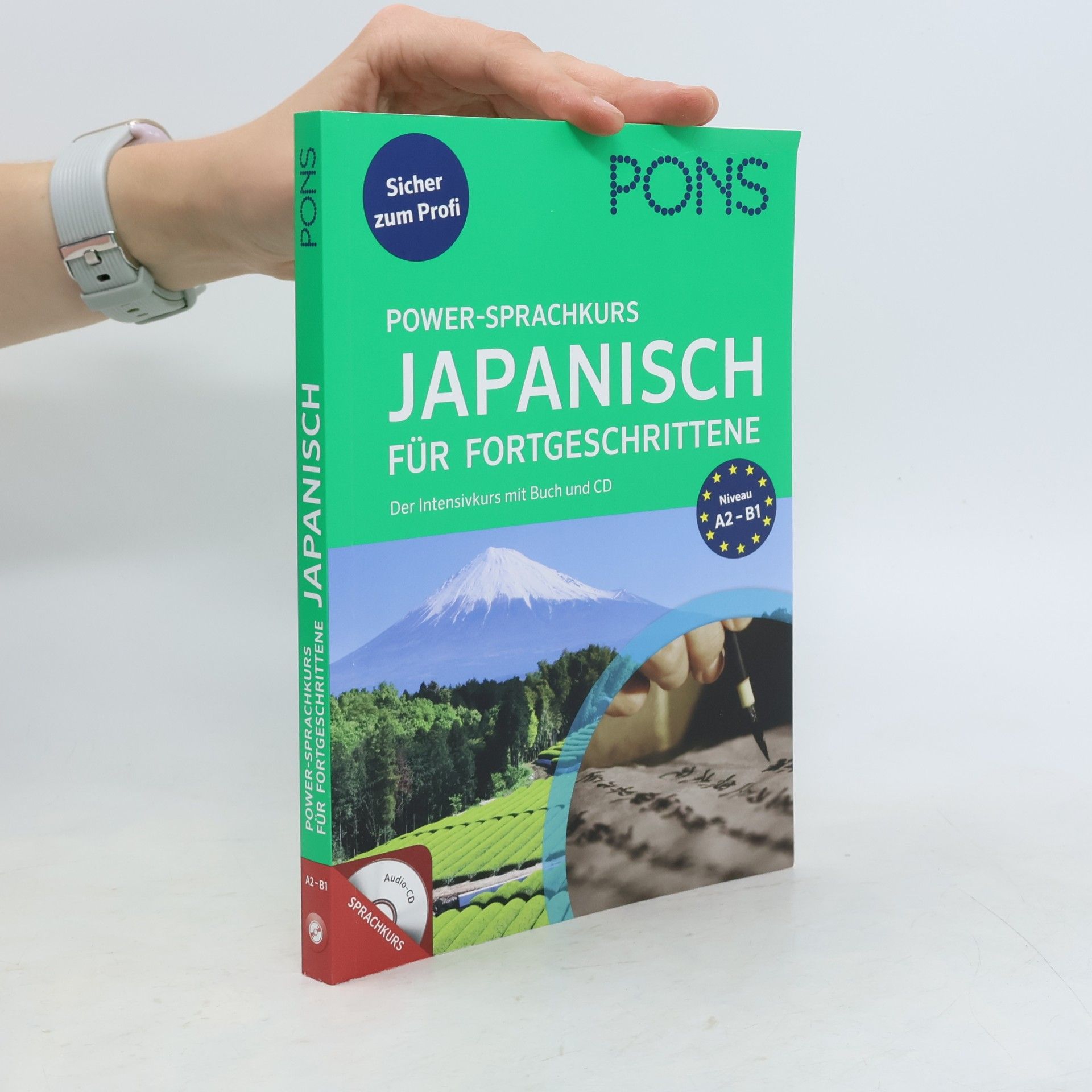 Takayo Ishizawa PONS Power-Sprachkurs Japanisch für Fortgeschrittene
