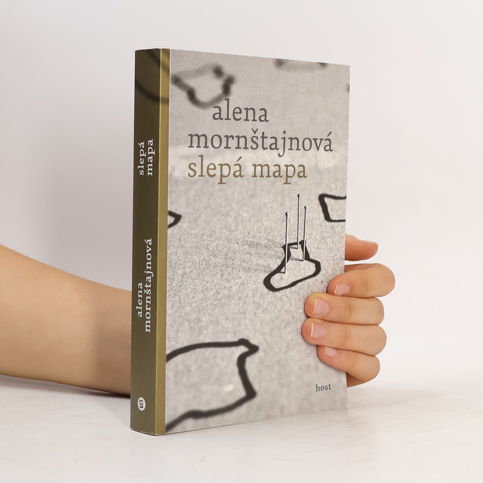 Alena Mornštajnová Slepá mapa