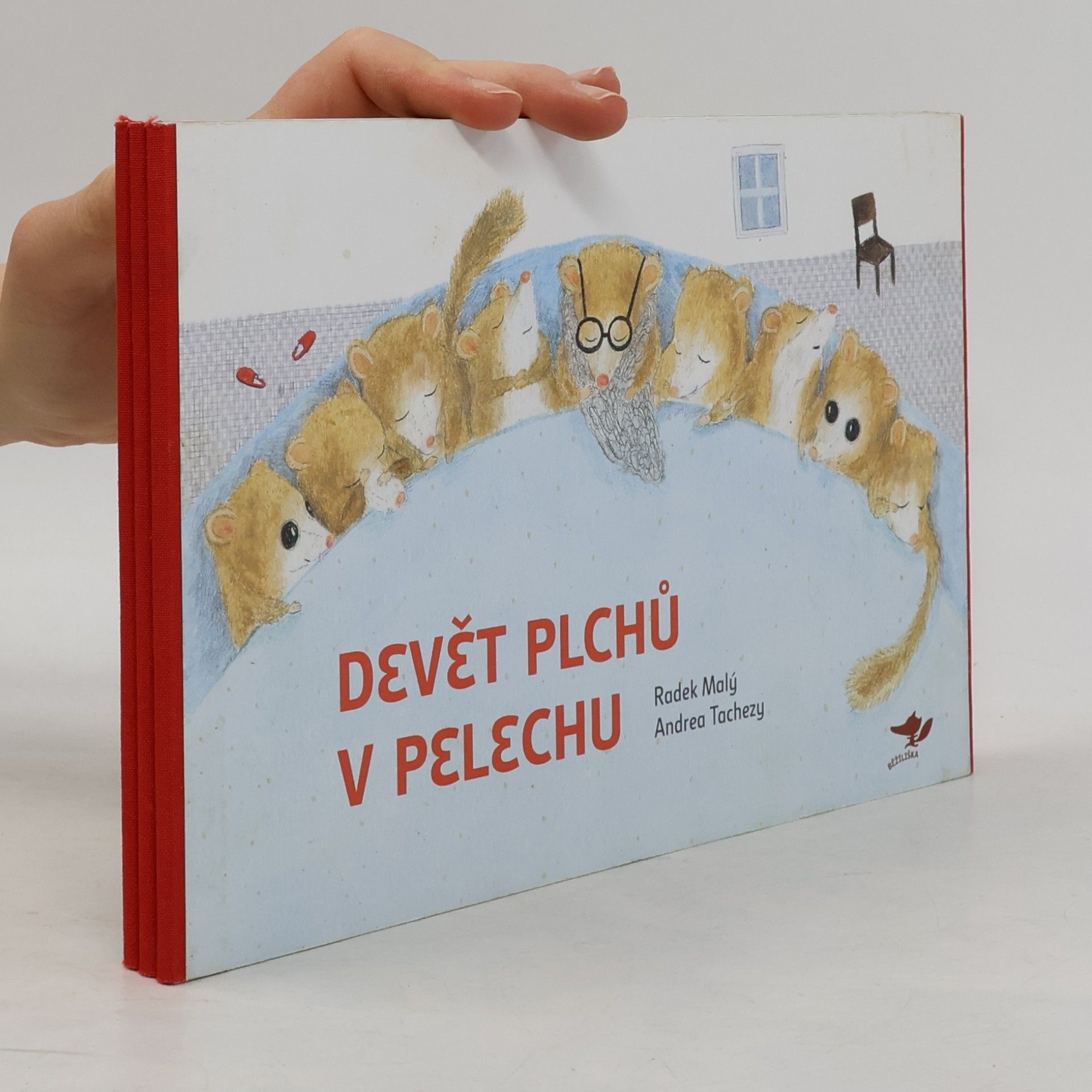 Radek Malý Devět plchů v pelechu