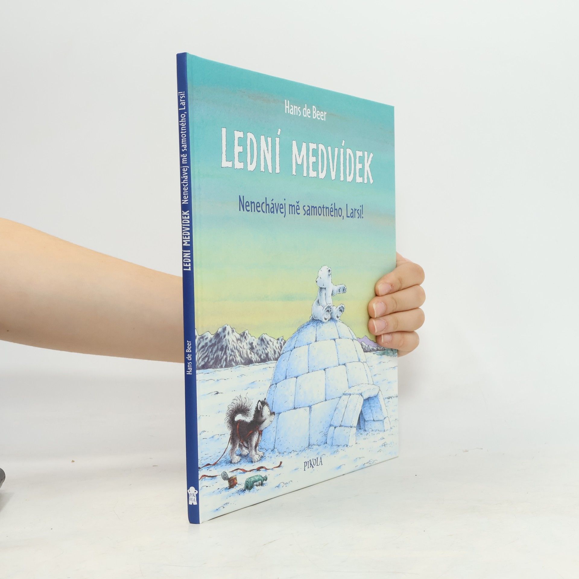 Lední medvídek