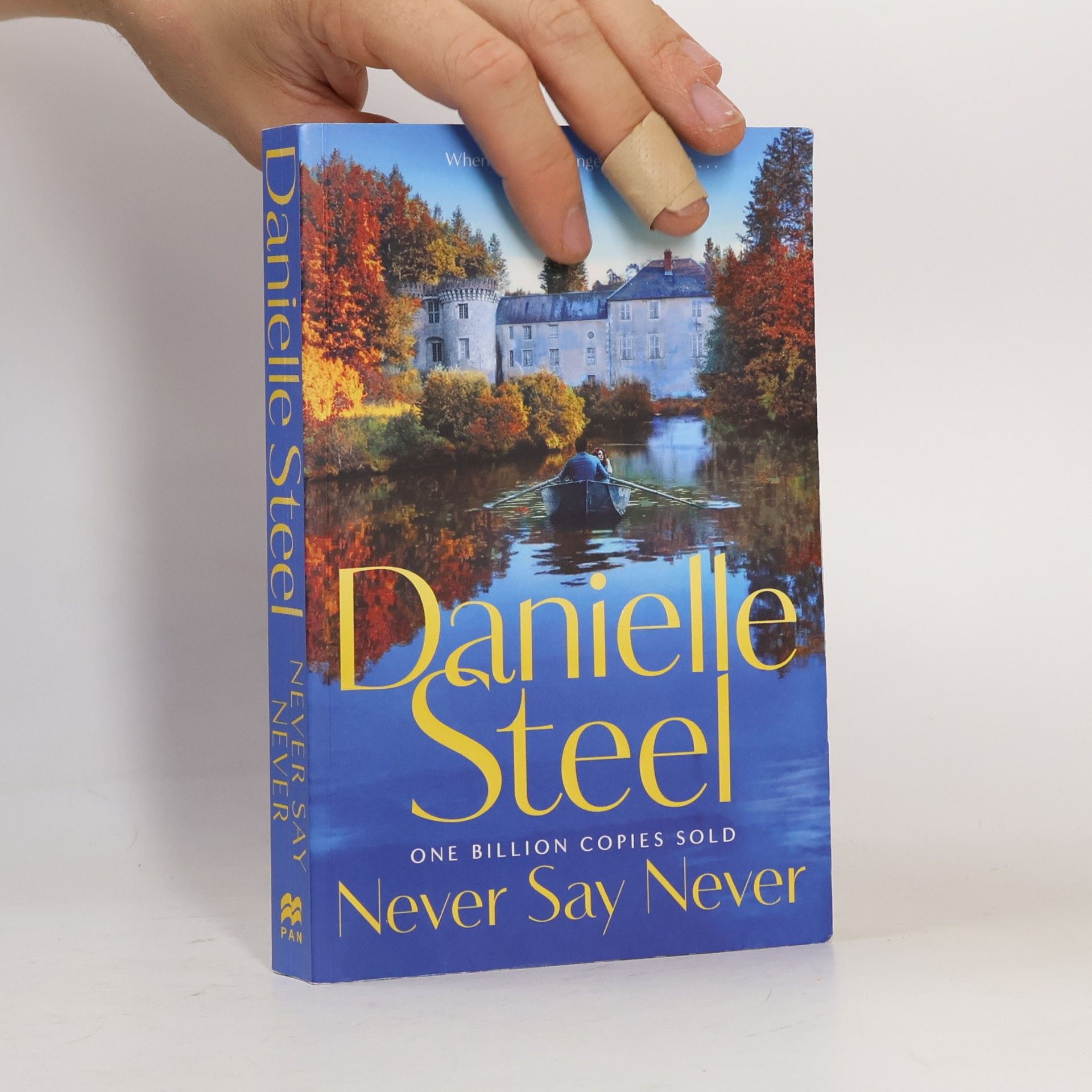 Danielle Steel Never Say Never