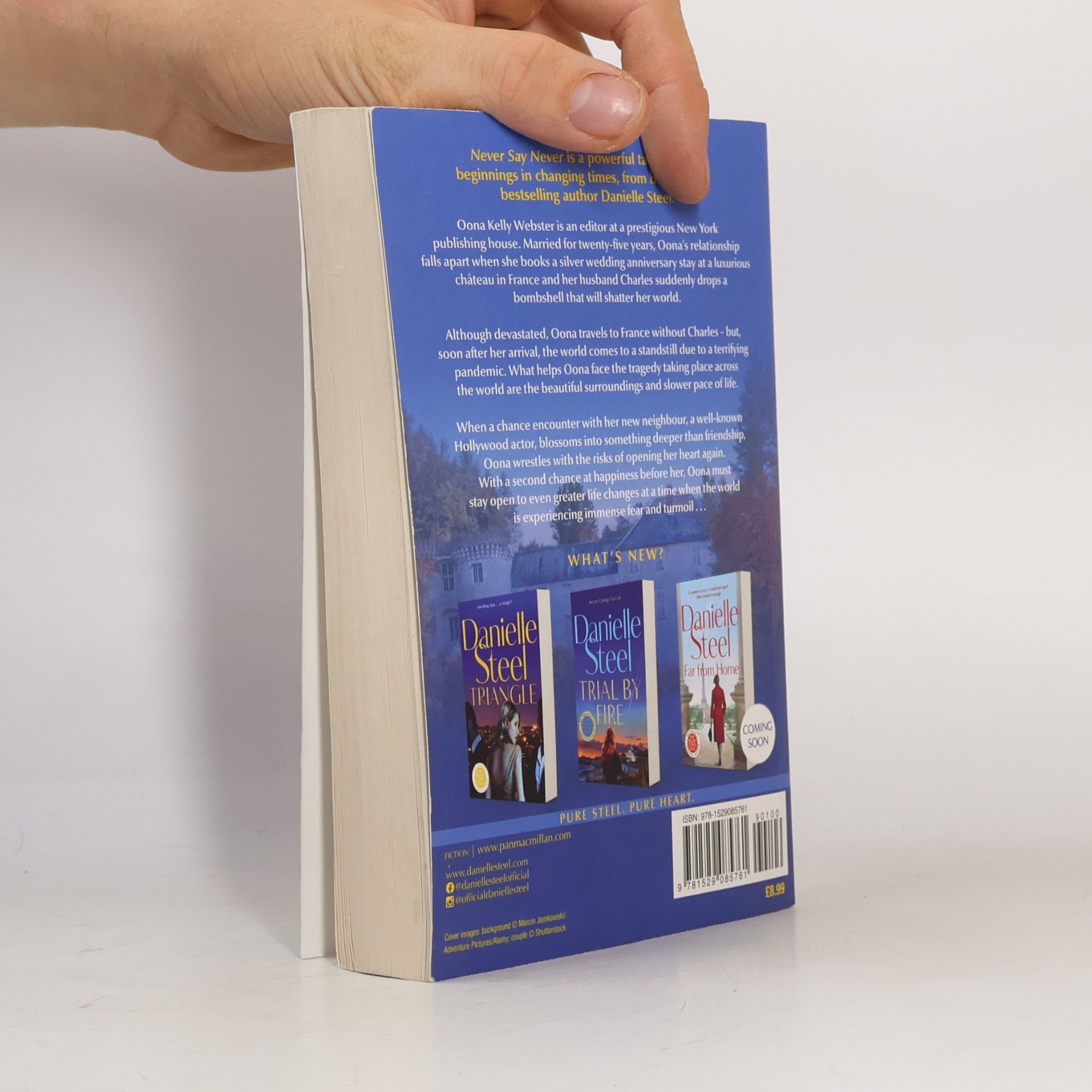 Danielle Steel Never Say Never