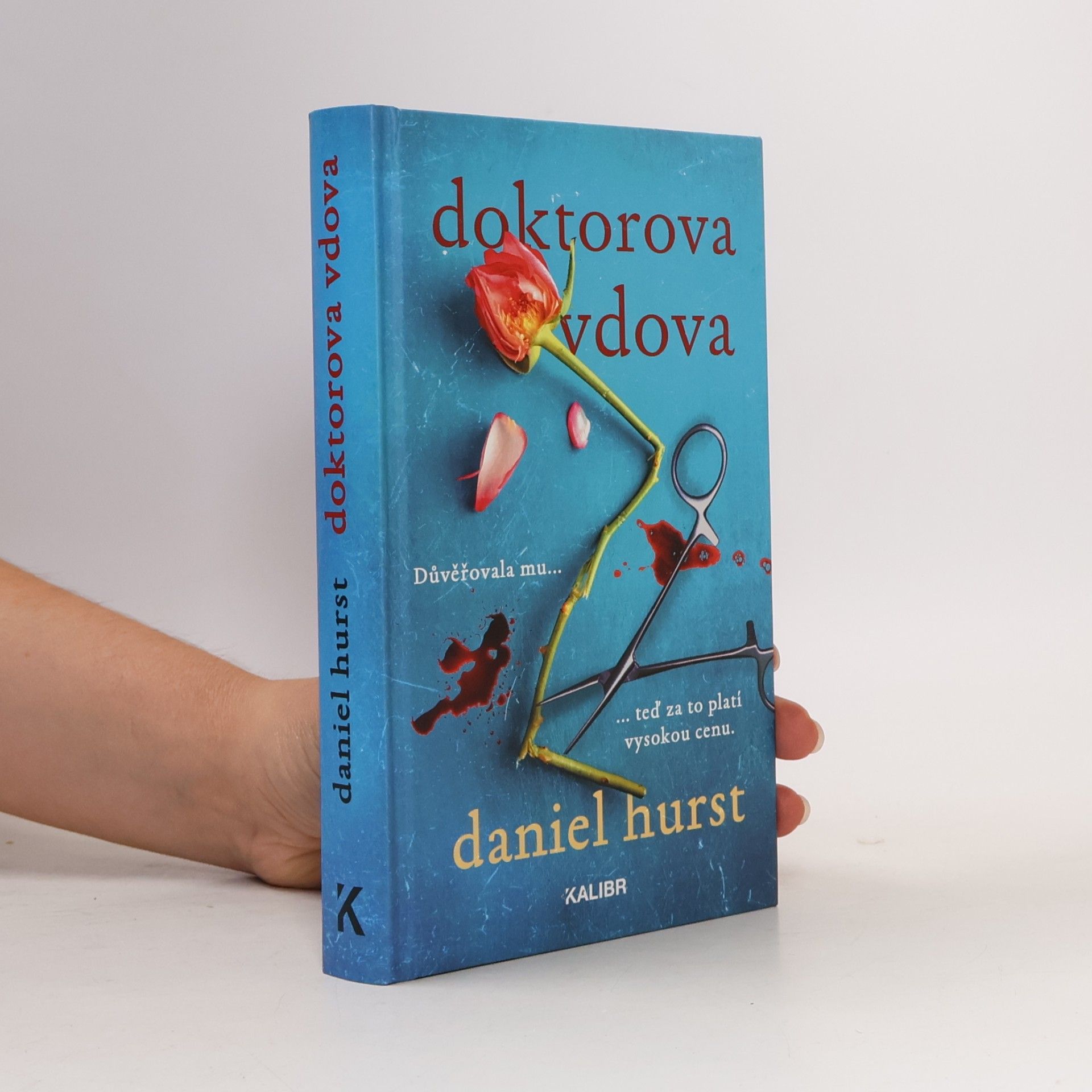 Daniel Hürst Doktorova vdova