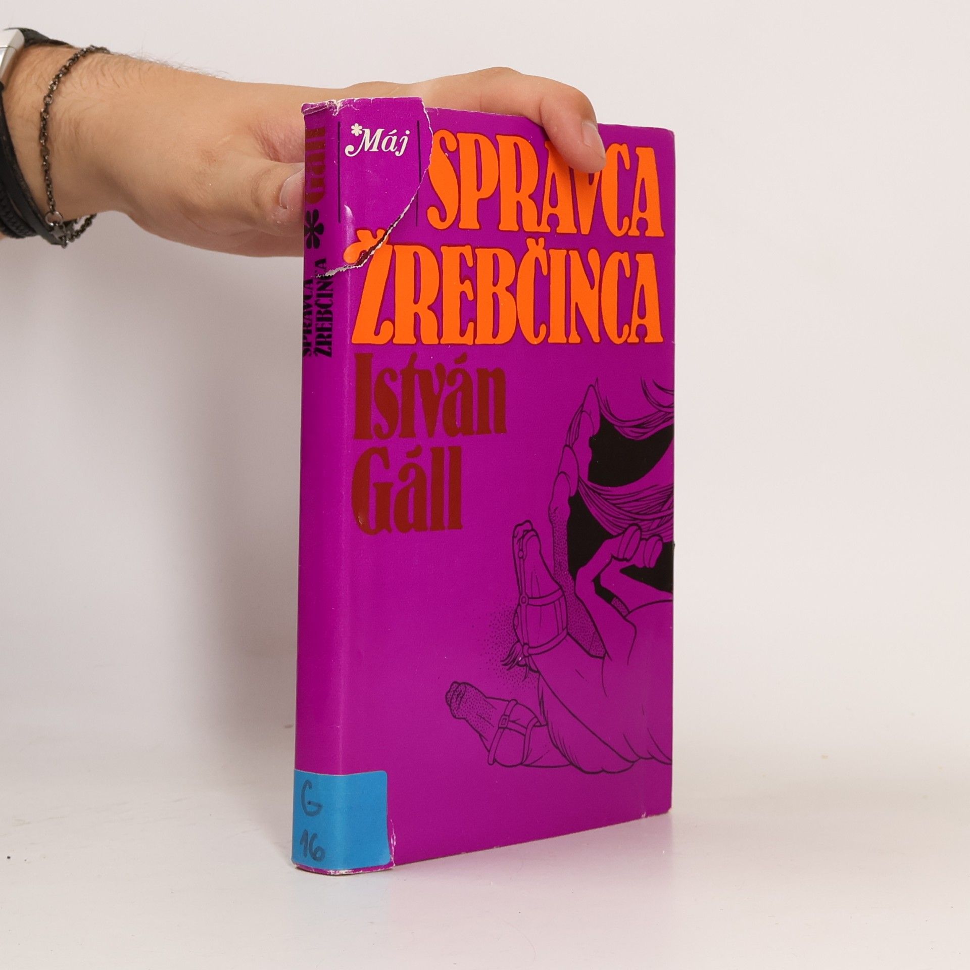 István Gáll Správca žrebčinca
