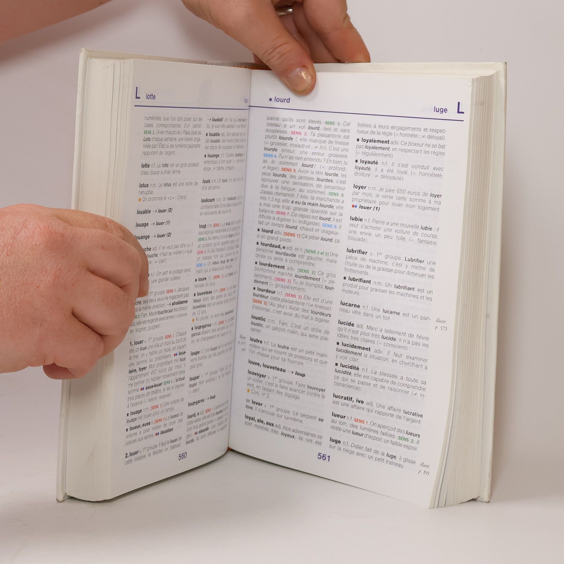 Pierre Larousse Dictionnaire maxi débutants