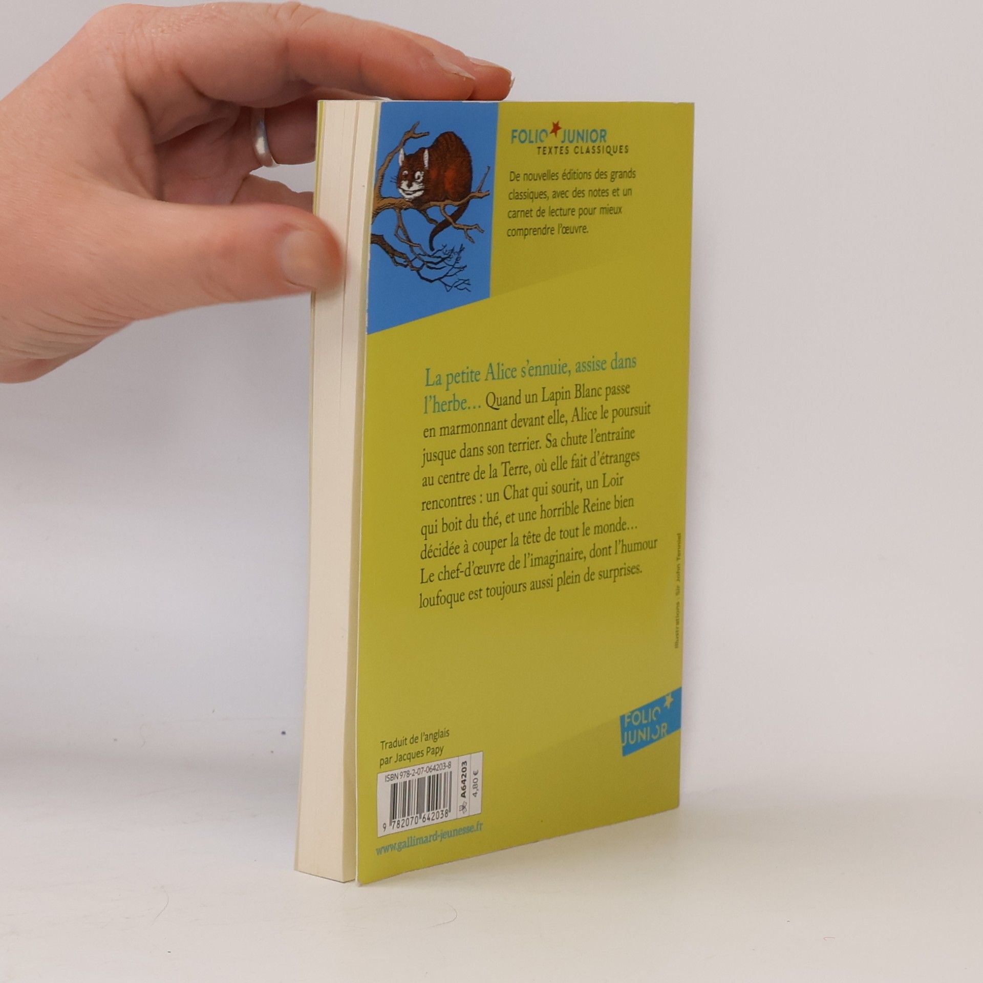 Lewis Carroll Folio Junior: Alice au pays des merveilles