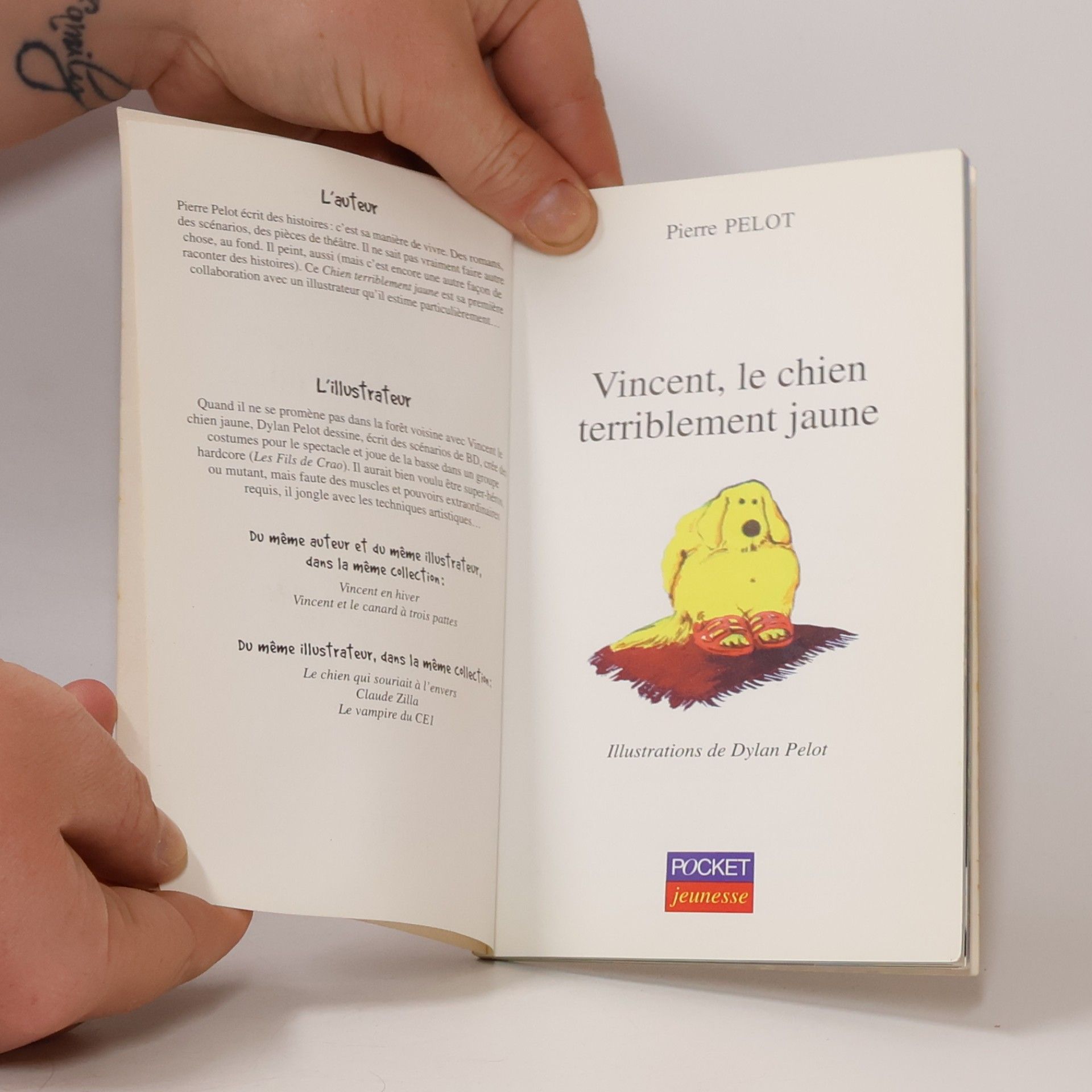 Pierre Pelot Vincent le chien terriblement jaune