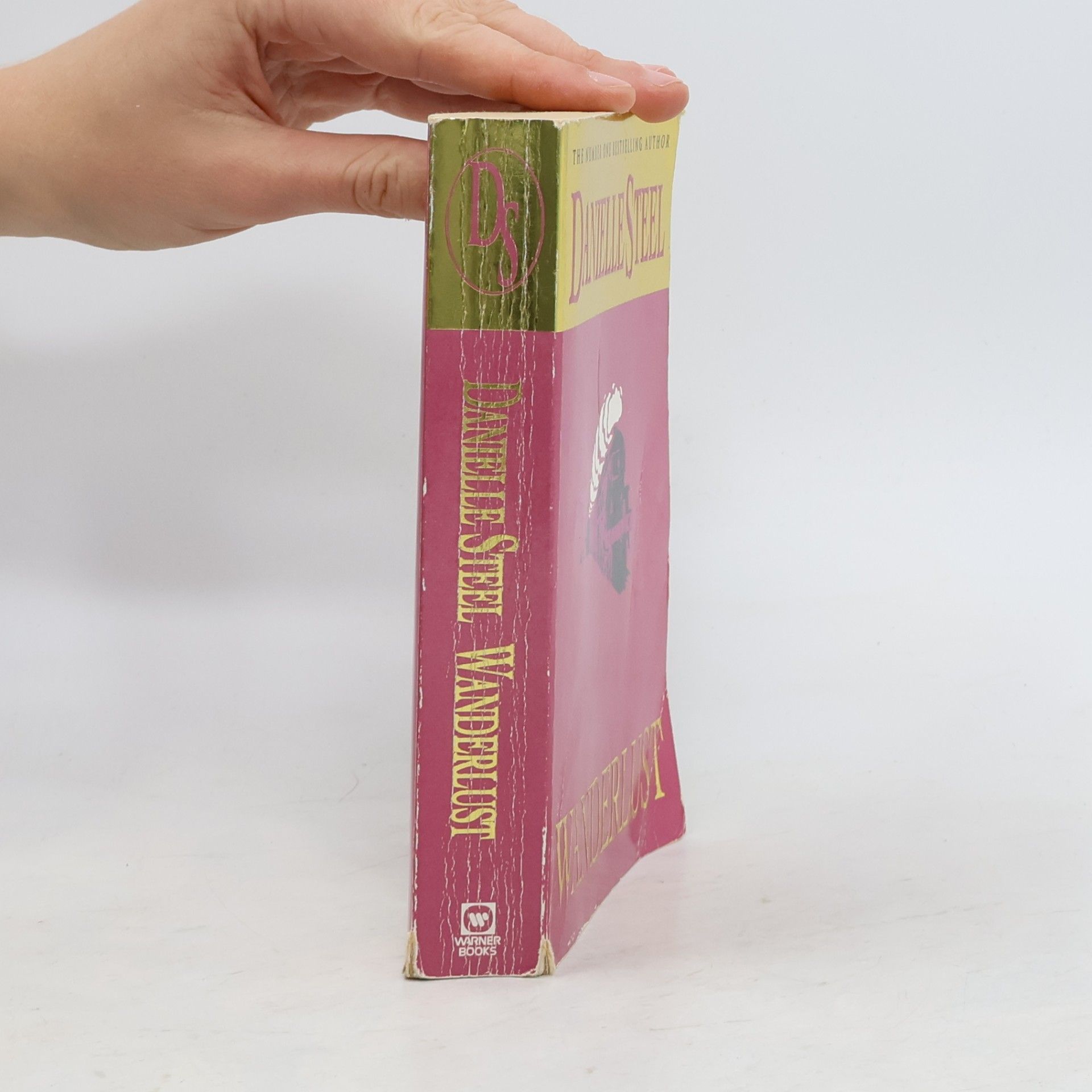 Danielle Steel Wanderlust