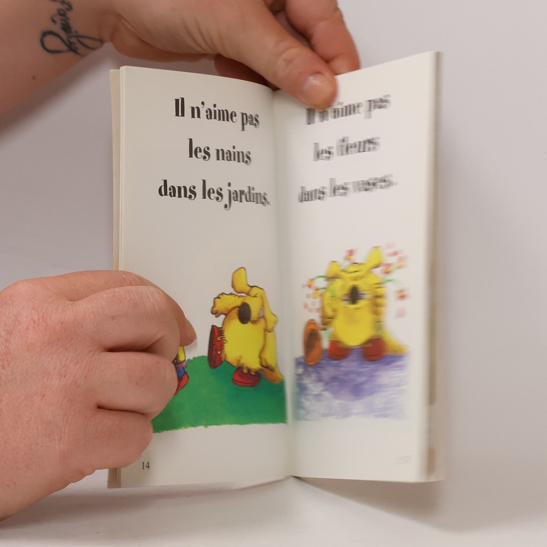Pierre Pelot Kid Pocket: Vincent et le canard à trois pattes