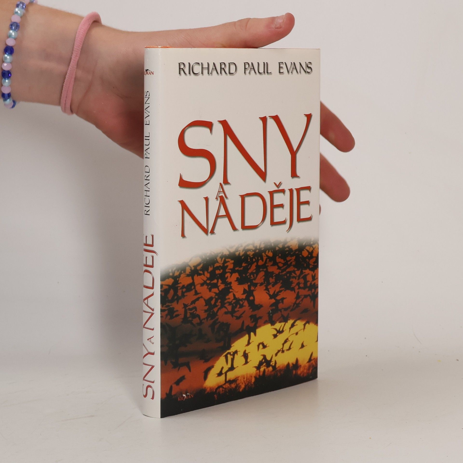 Richard Paul Evans Sny a naděje