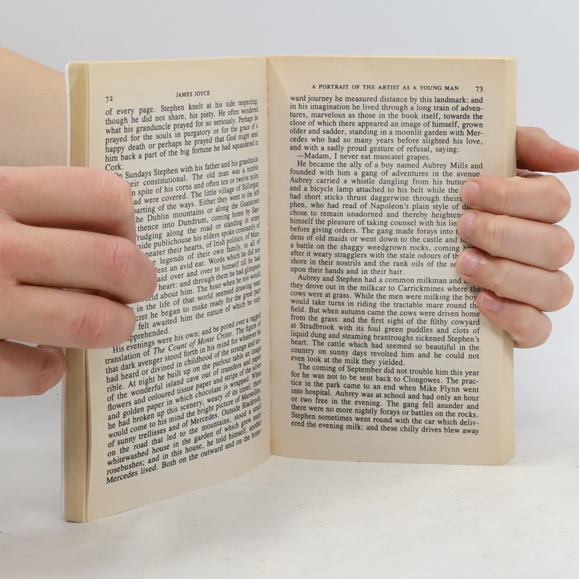 James Joyce Signet Classics: A Portrait of the Artist as a Young Man