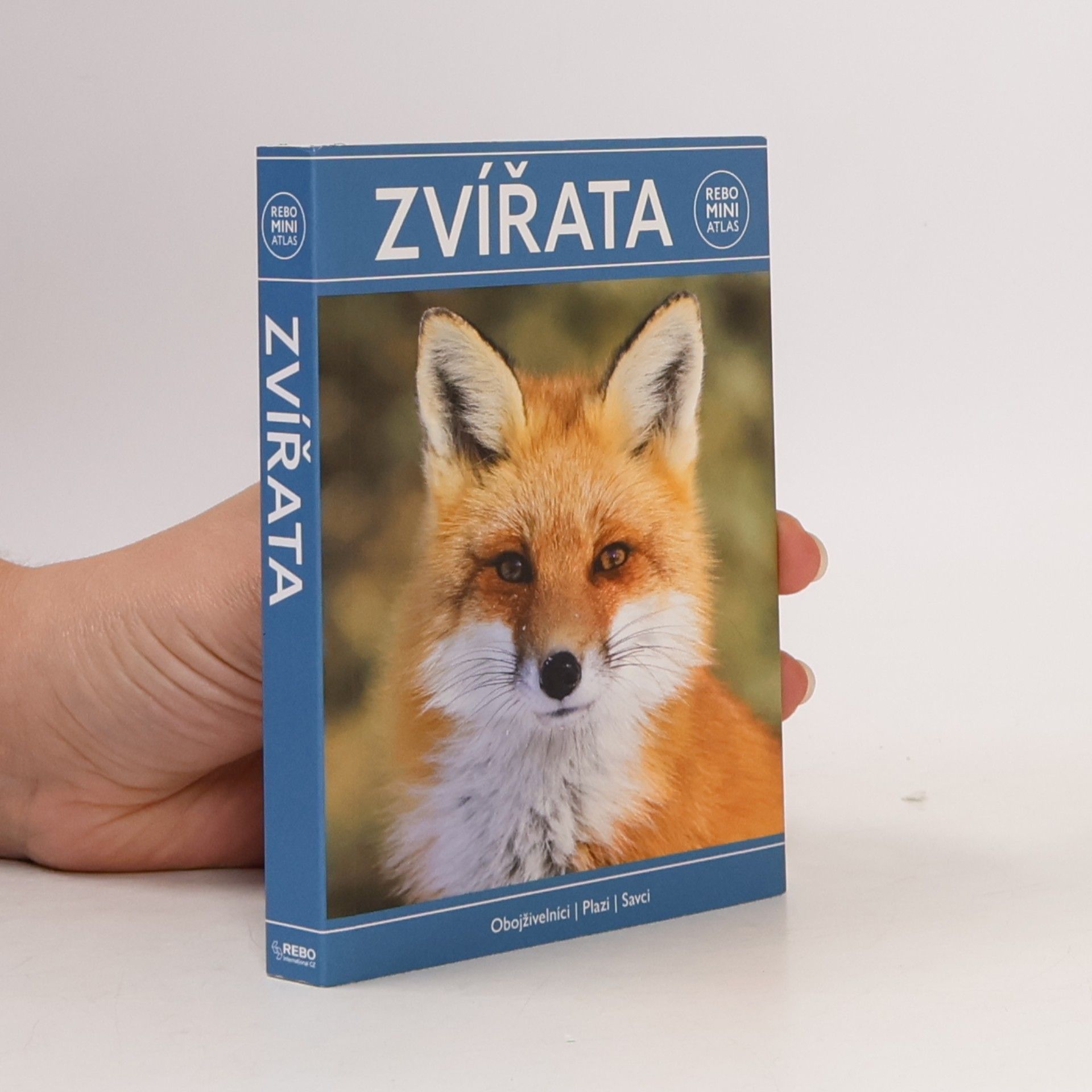 Zvířata