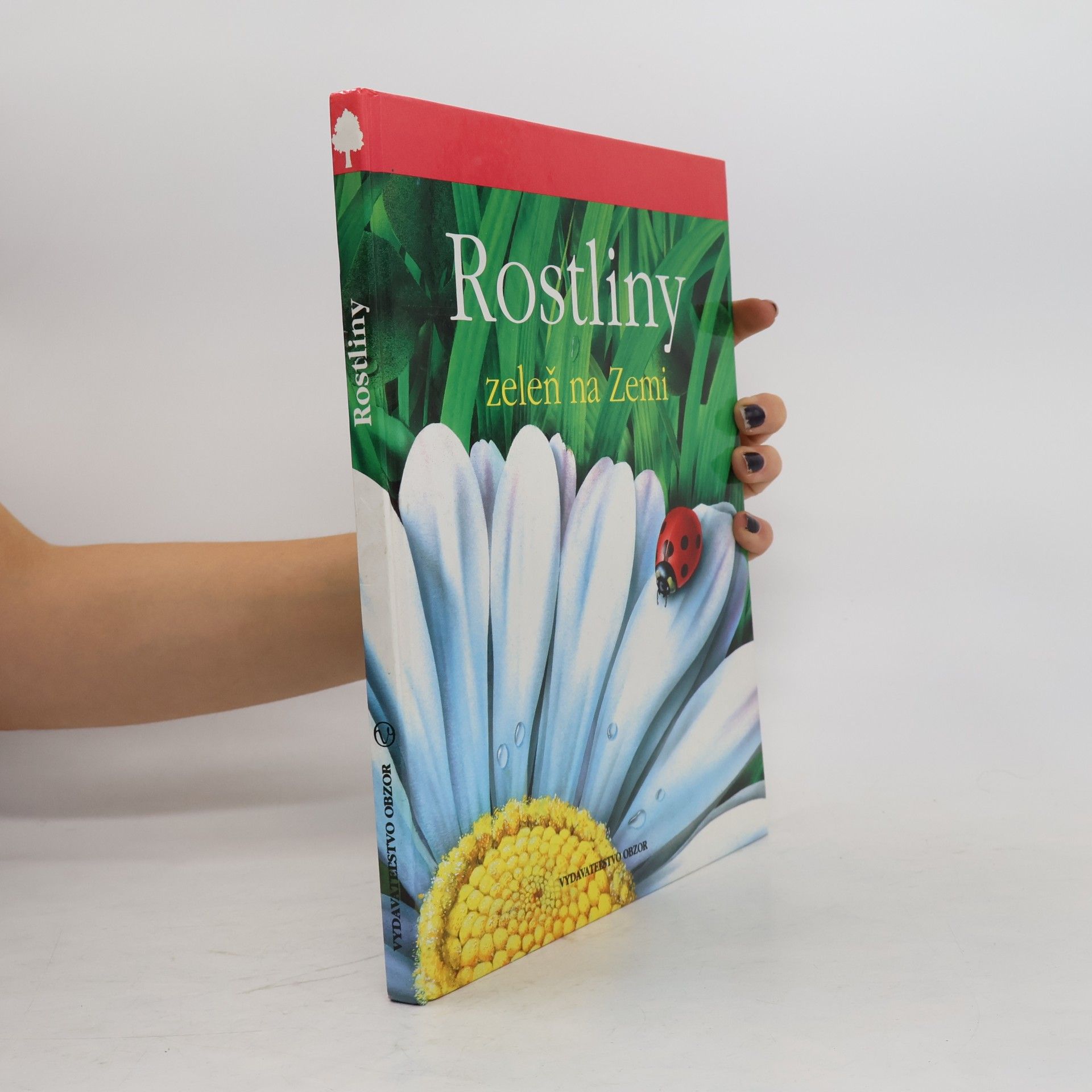 Rostliny. Zeleň na zemi