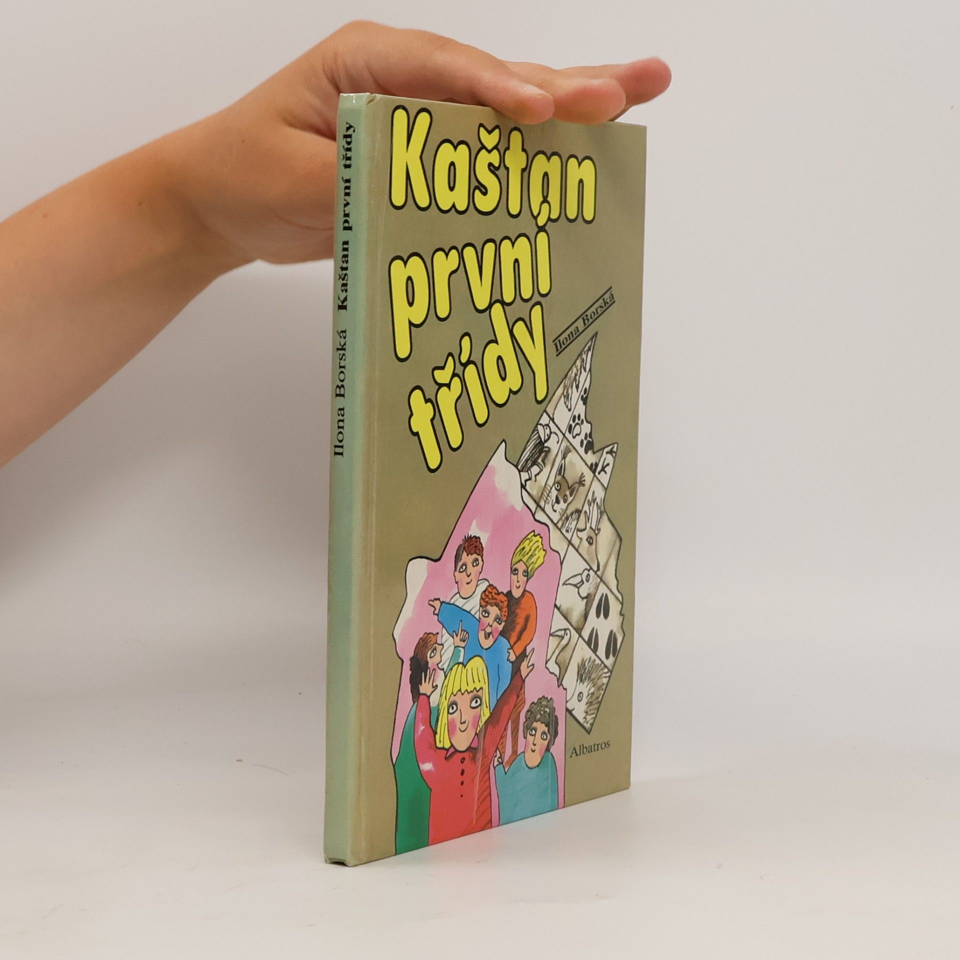 Kaštan první třídy