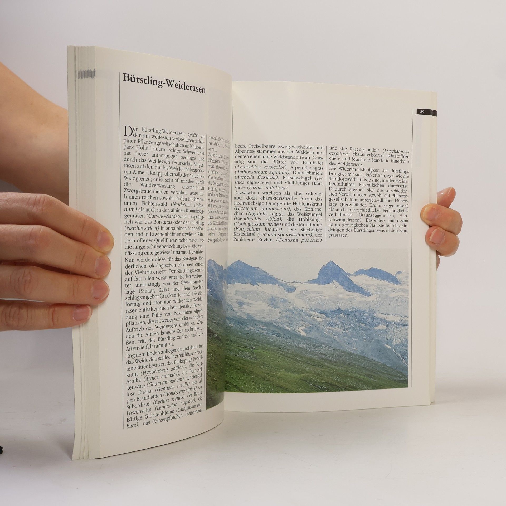 Autores varios Nationalpark Hohe Tauern