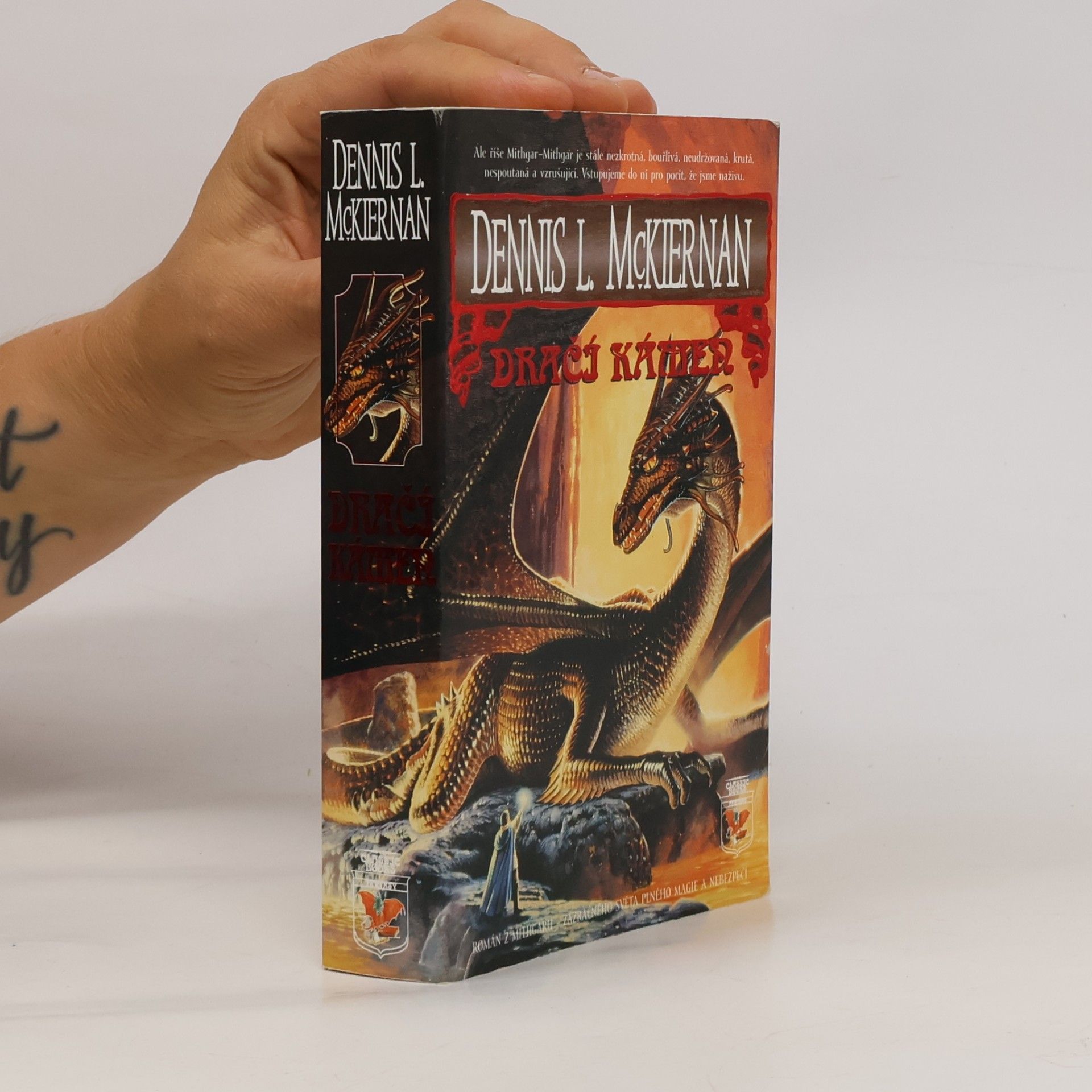 Dennis L. McKiernan Dračí kámen