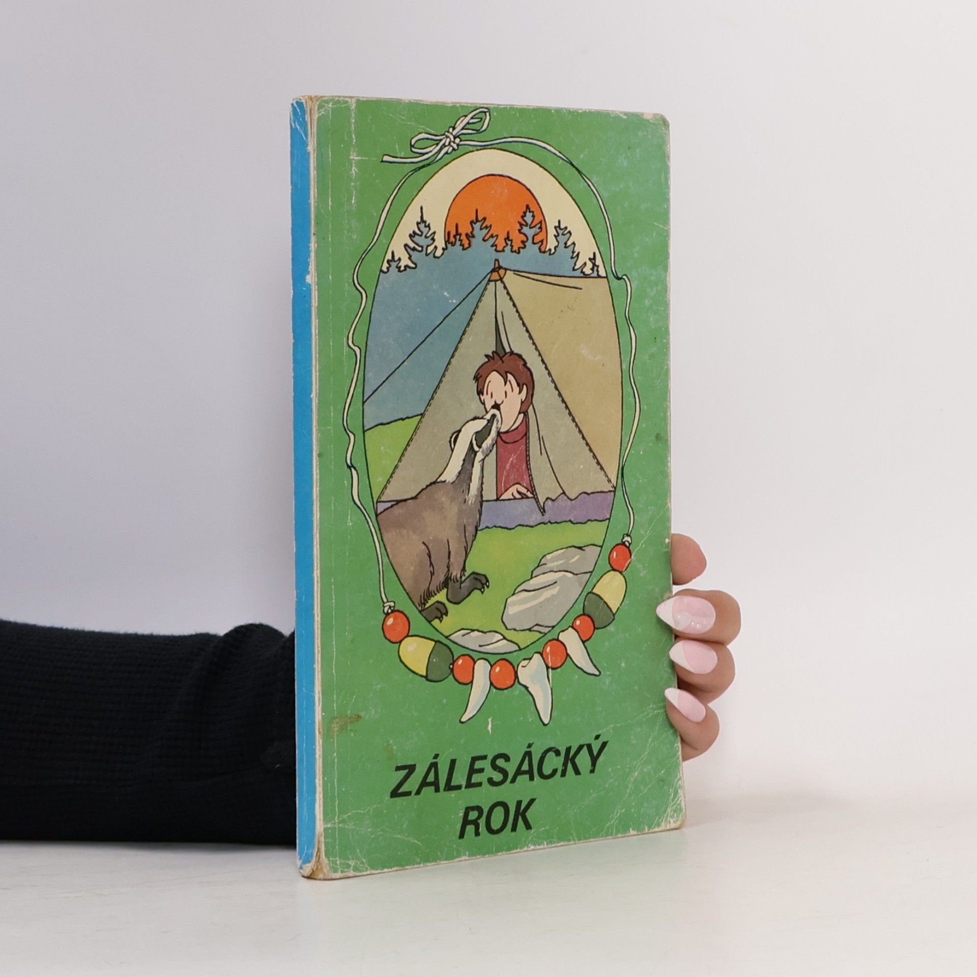 Collectif d'auteurs Zálesácký rok
