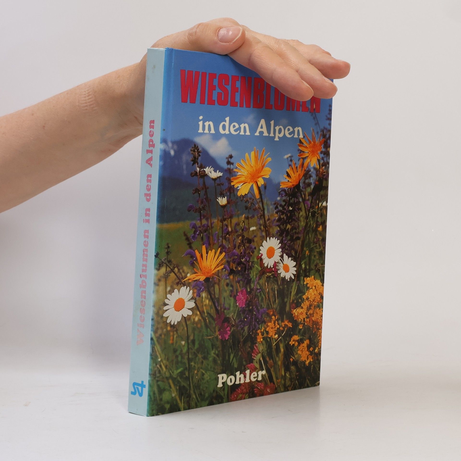 Alfred Pohler Wiesenblumen in den Alpen