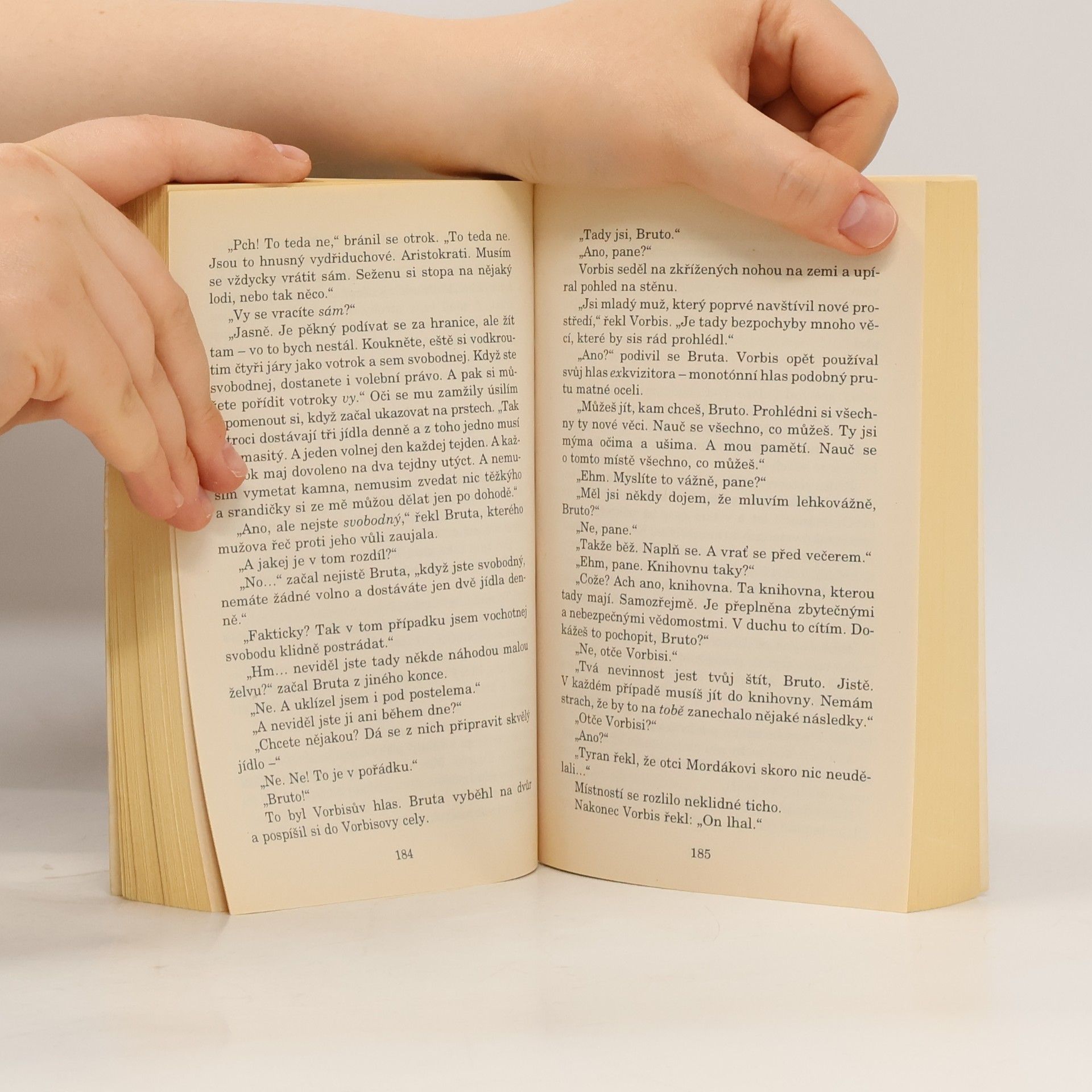 Terry Pratchett Malí bohové