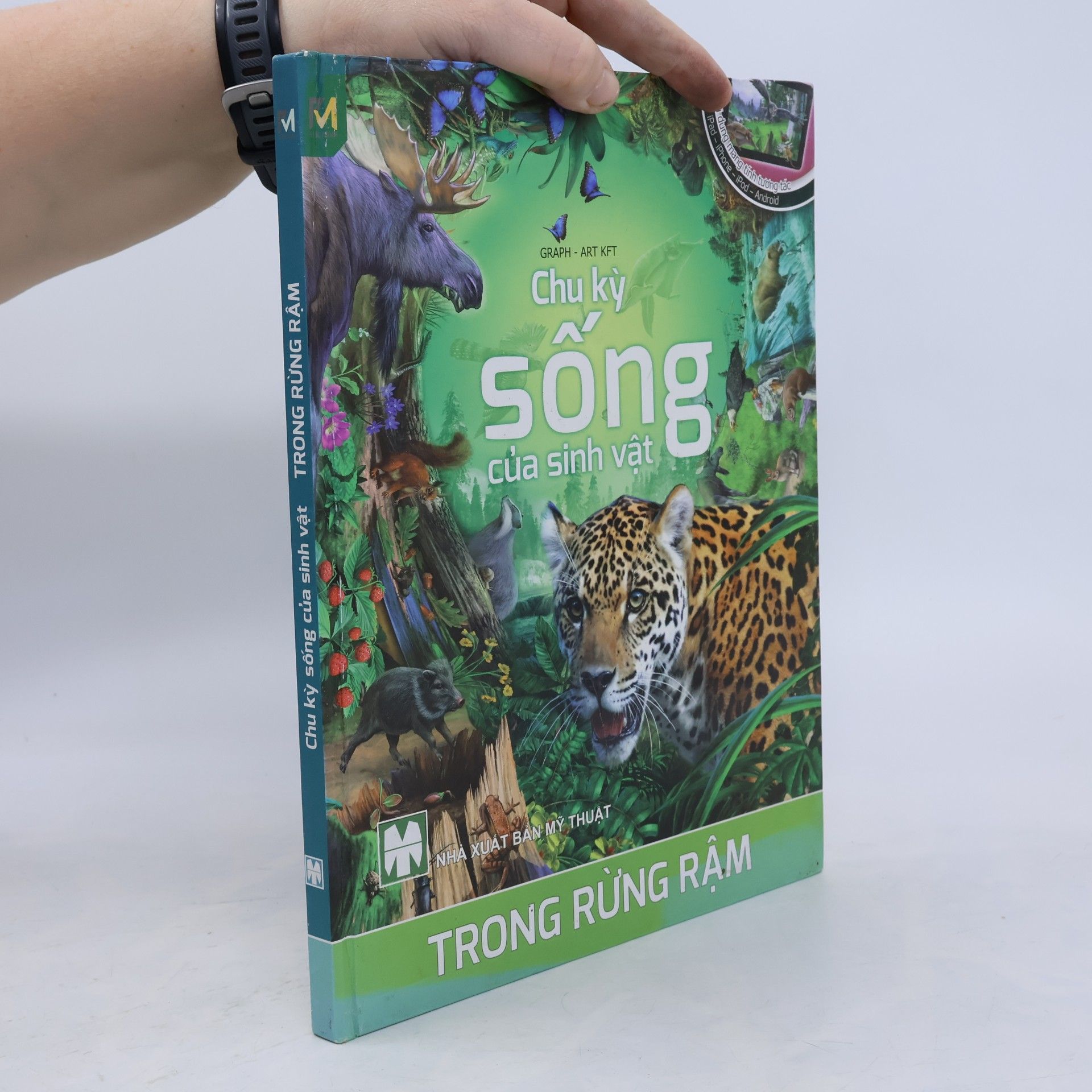Graph - Art Kft Chu kỳ sống của sinh vật - Trong rừng rậm