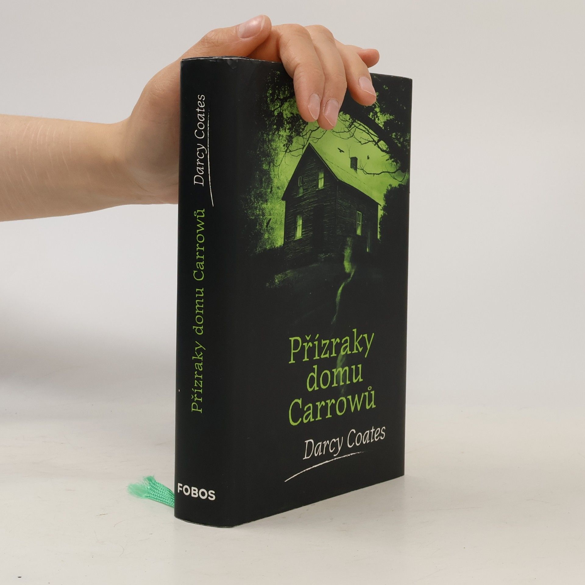 Darcy Coates Přízraky domu Carrowů