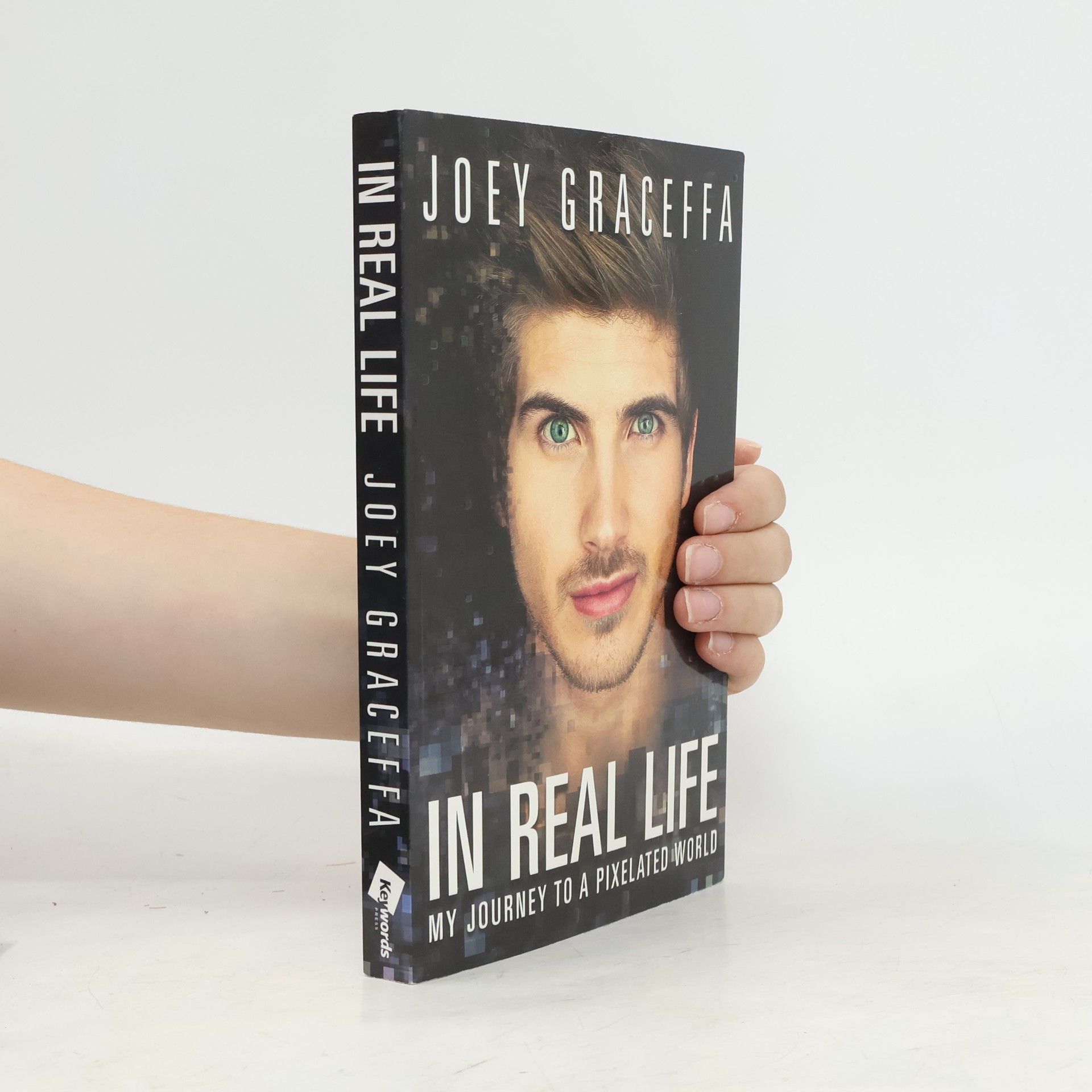 In real life: my journey to a pixelated world