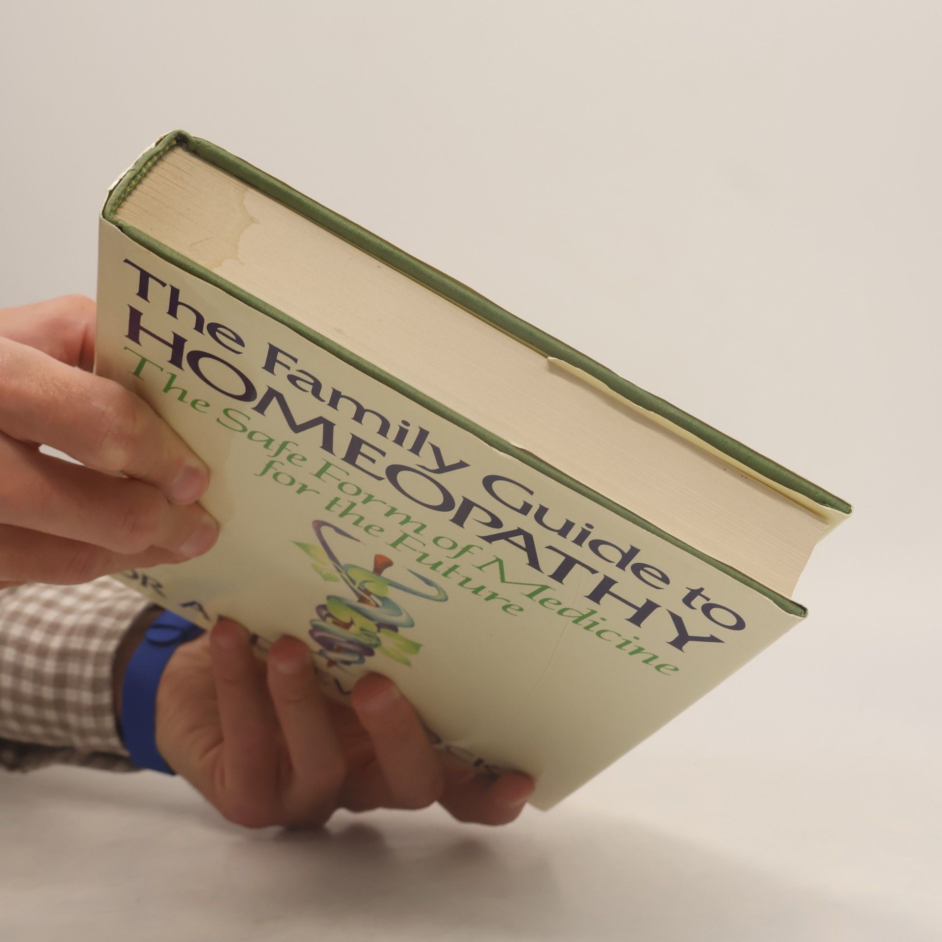 Andrew Lockie The Family Guide to Homeopathy