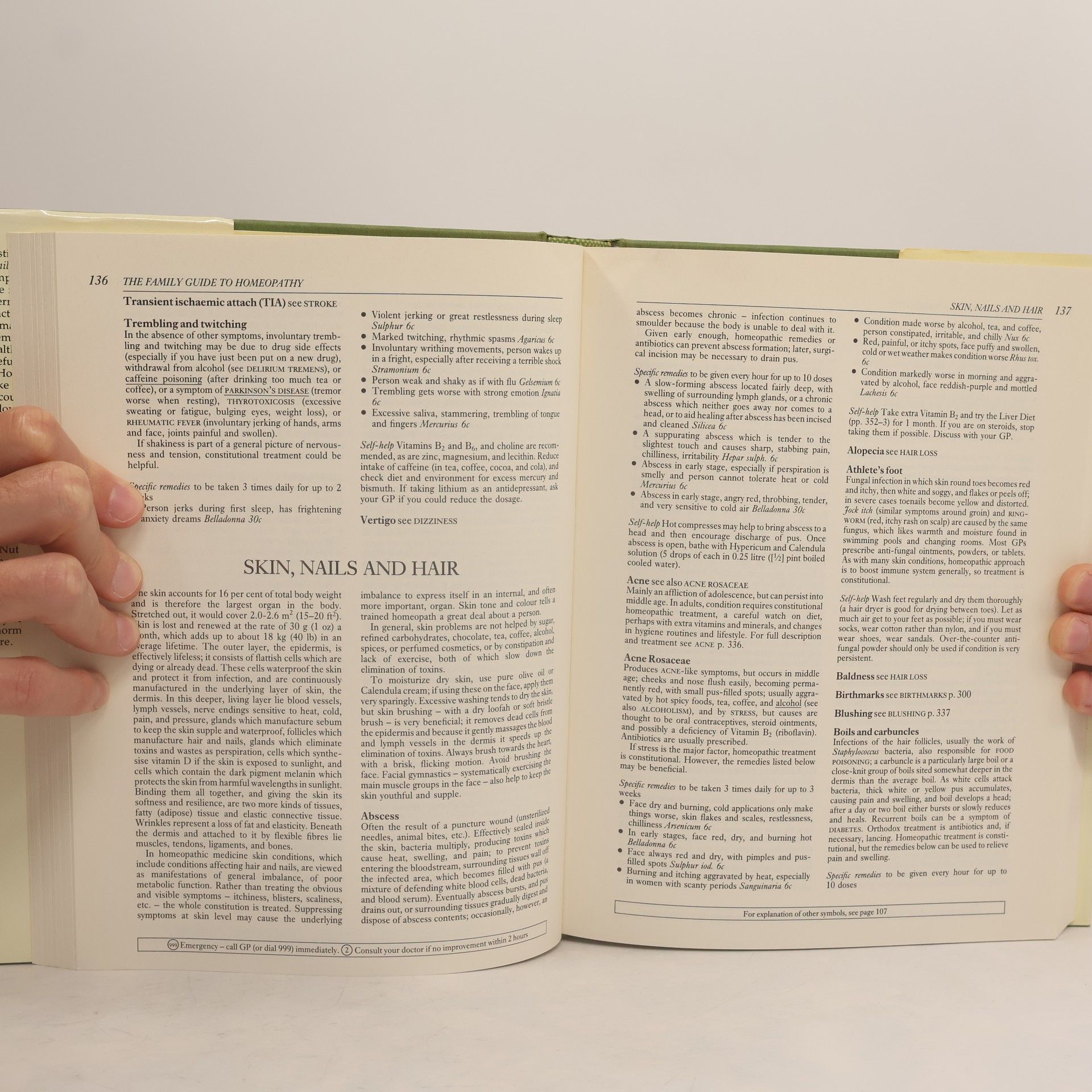 Andrew Lockie The Family Guide to Homeopathy