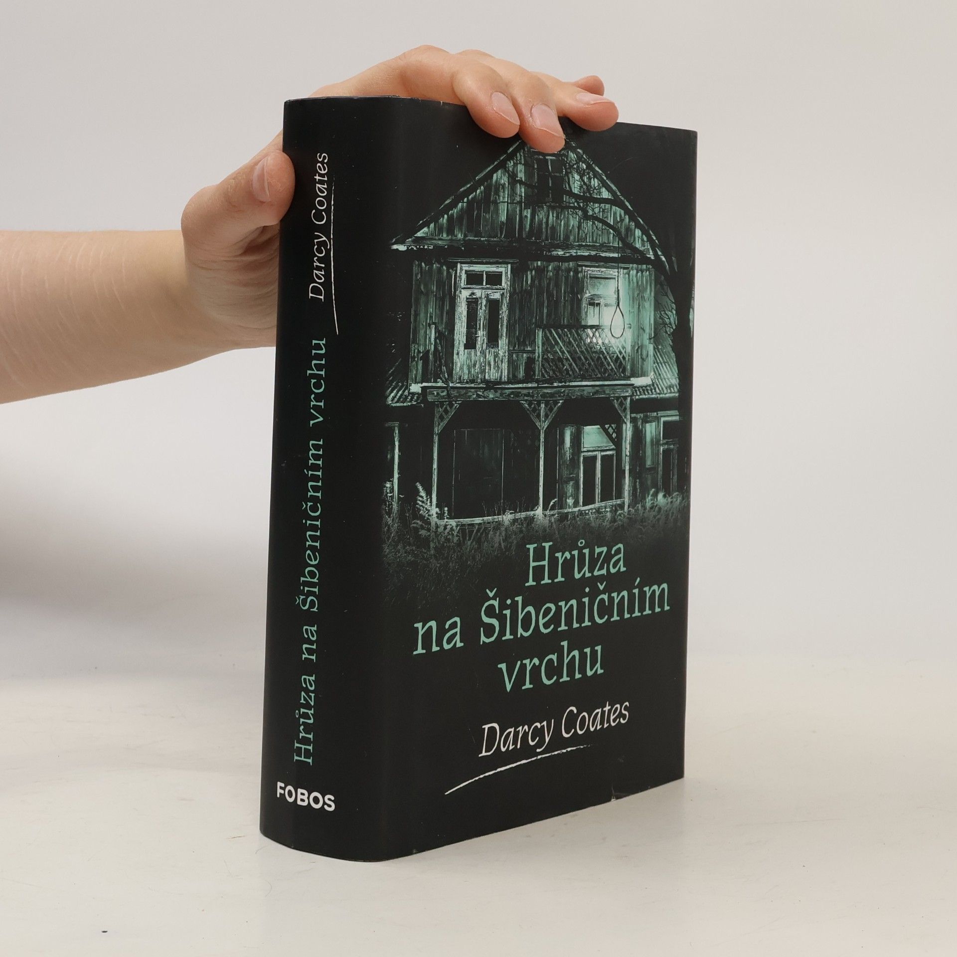 Darcy Coates Hrůza na Šibeničním vrchu