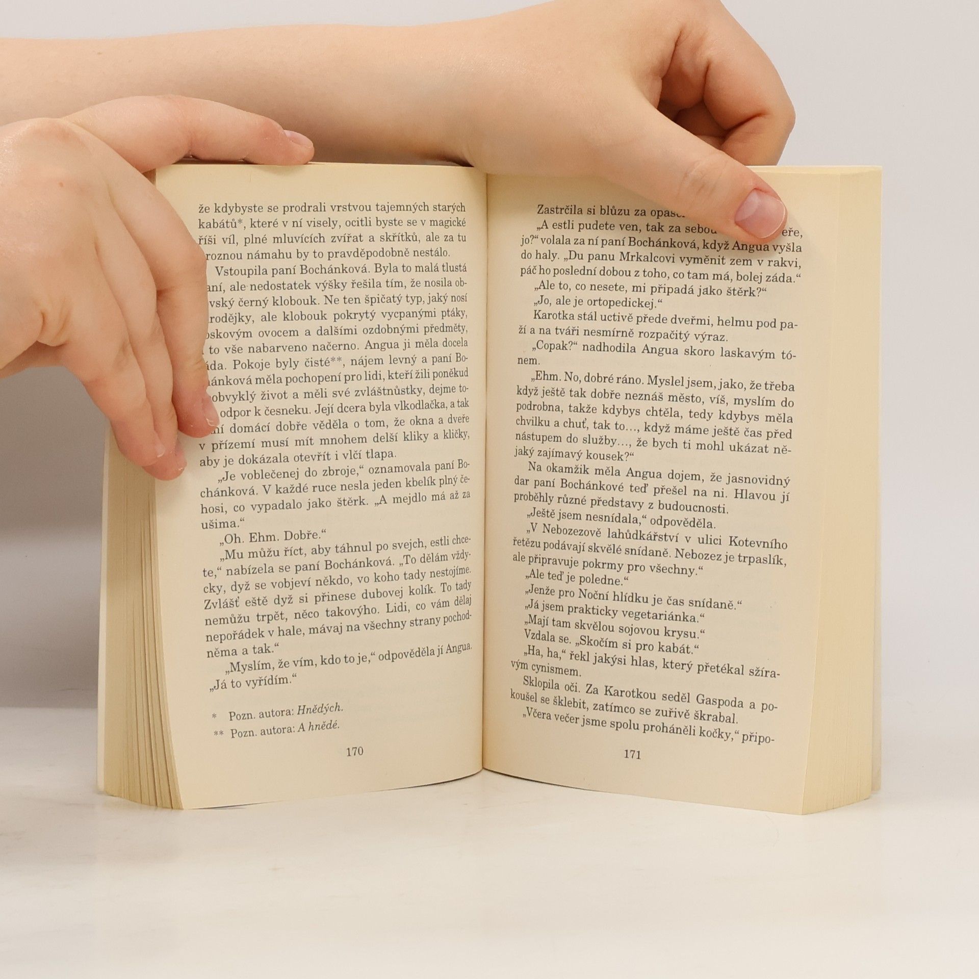 Terry Pratchett Muži ve zbrani