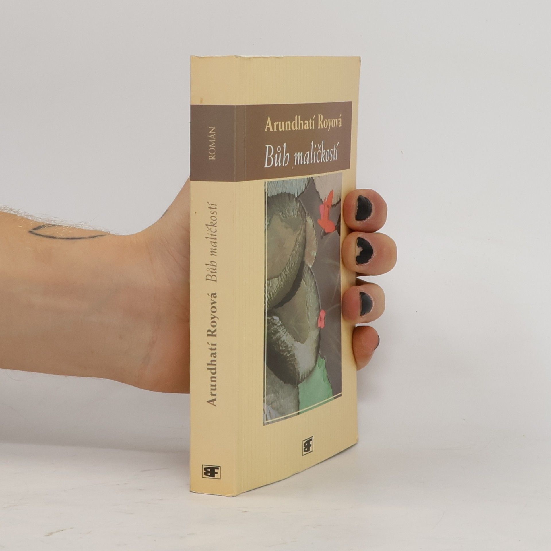 Arundhati Roy Bůh maličkostí