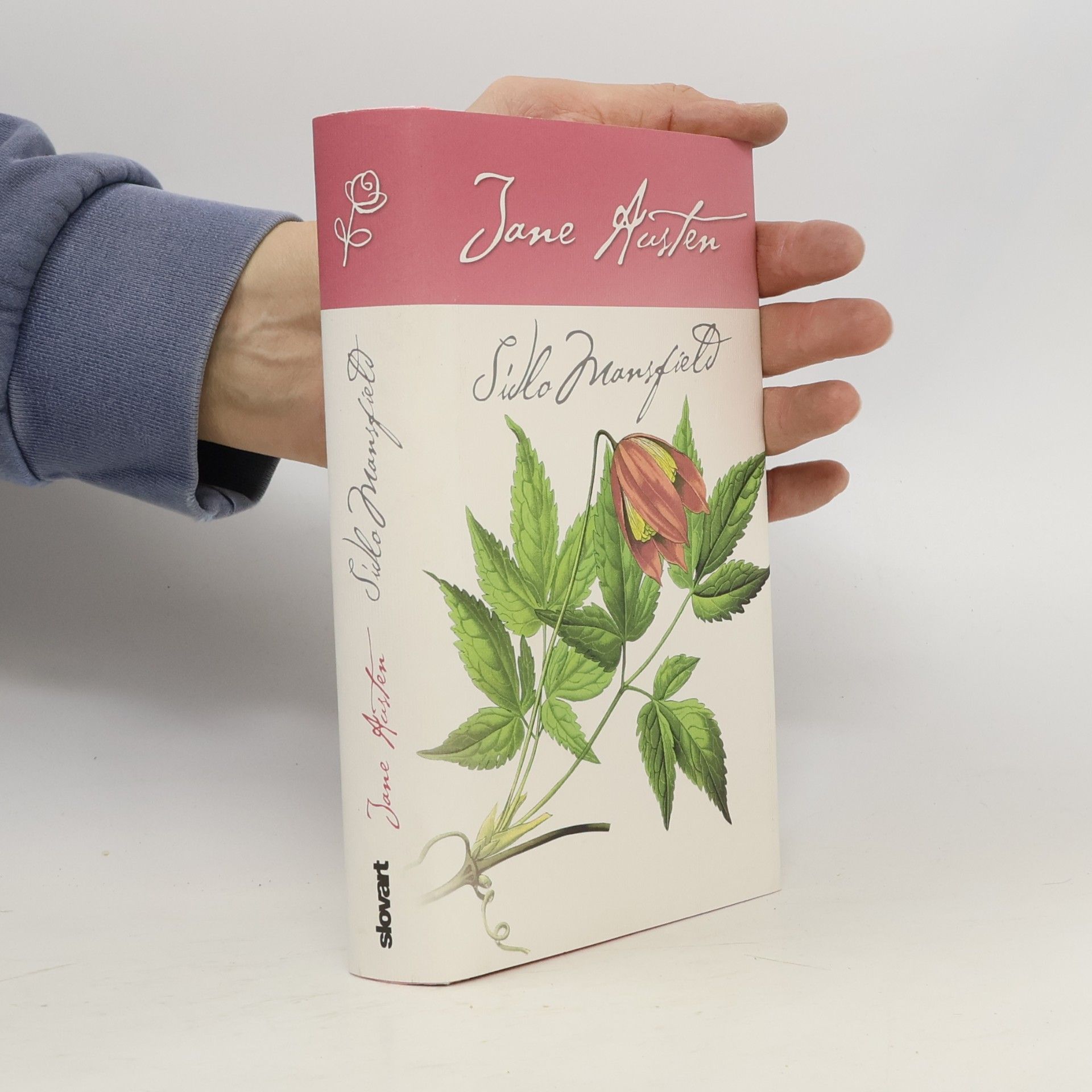 Jane Austen Sídlo Mansfield