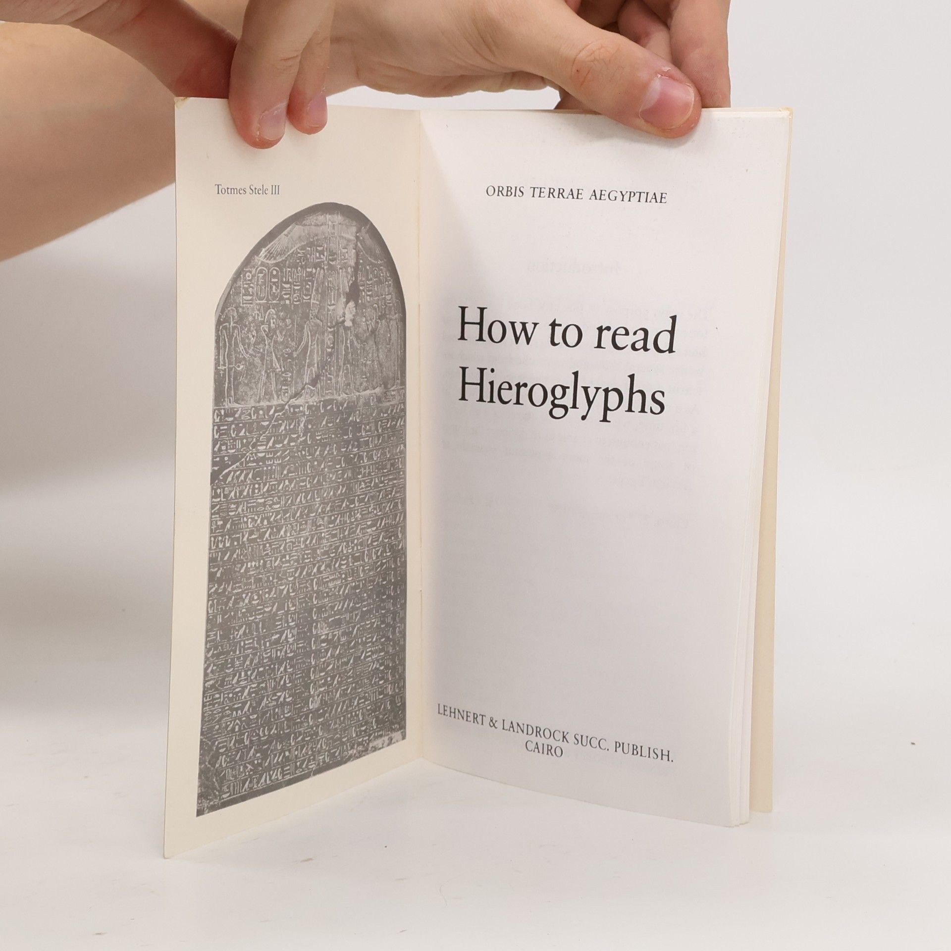 Kurt Lambelet How To Read Hieroglyphes (English Edition)
