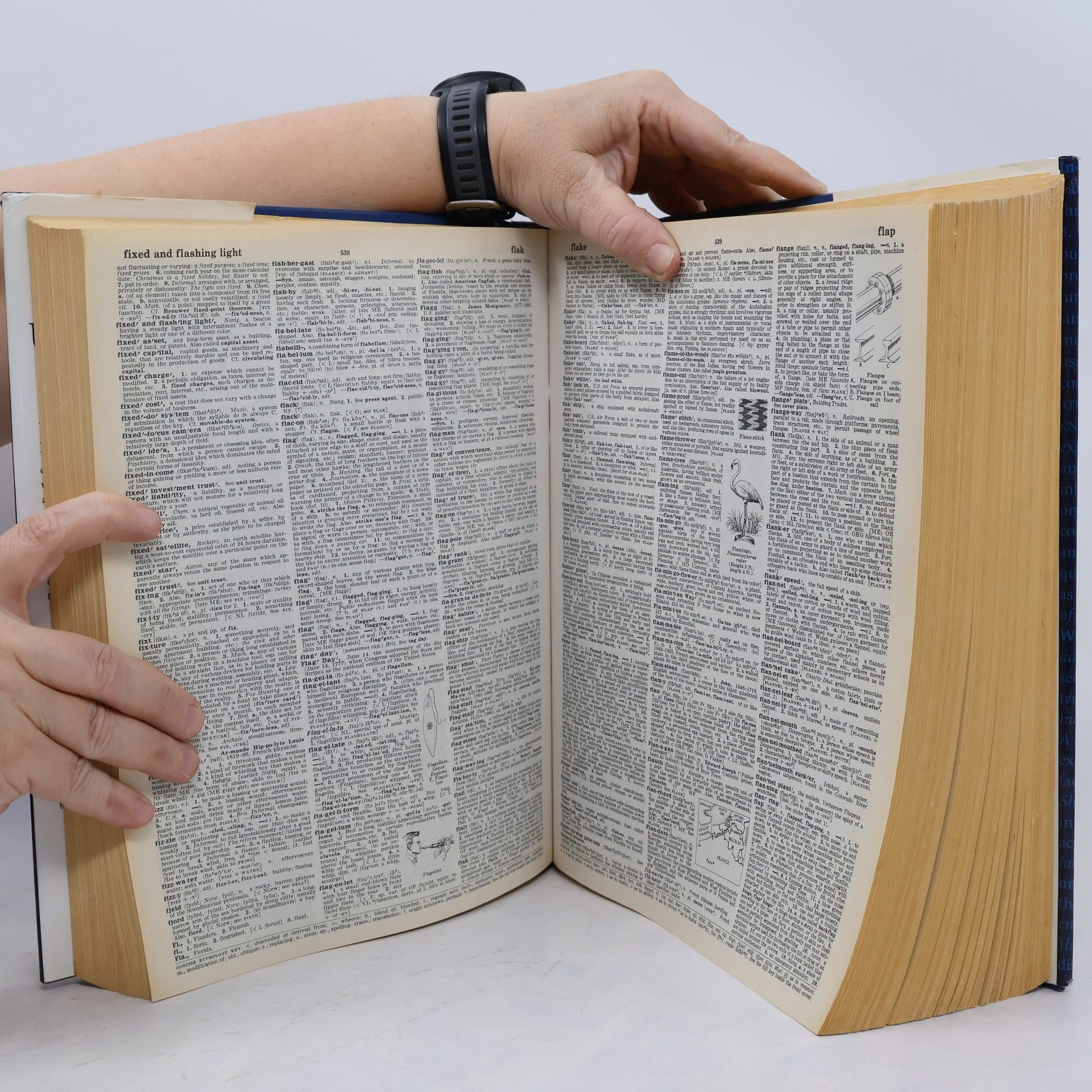 Autorenkollektiv Webster´s New Universal Unabridged Dictionary