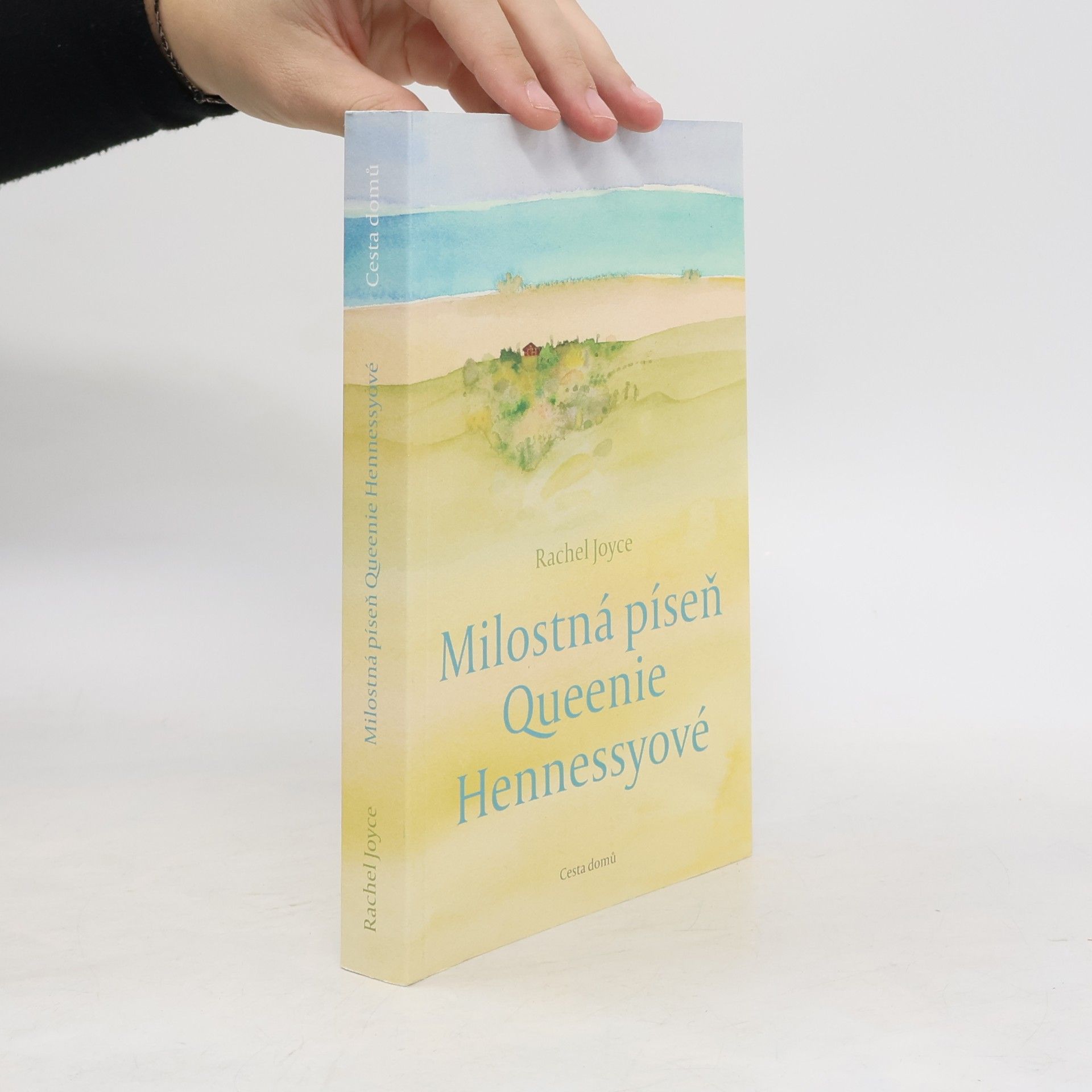 Rachel Joyce Milostná píseň Queenie Hennessyové