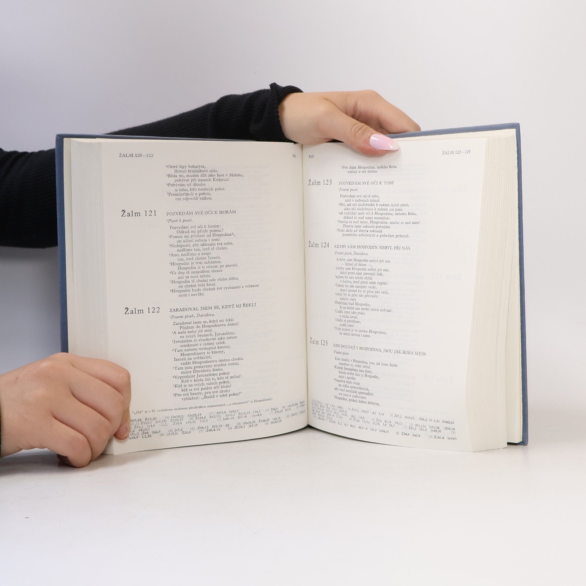 Autorenkollektiv Bible