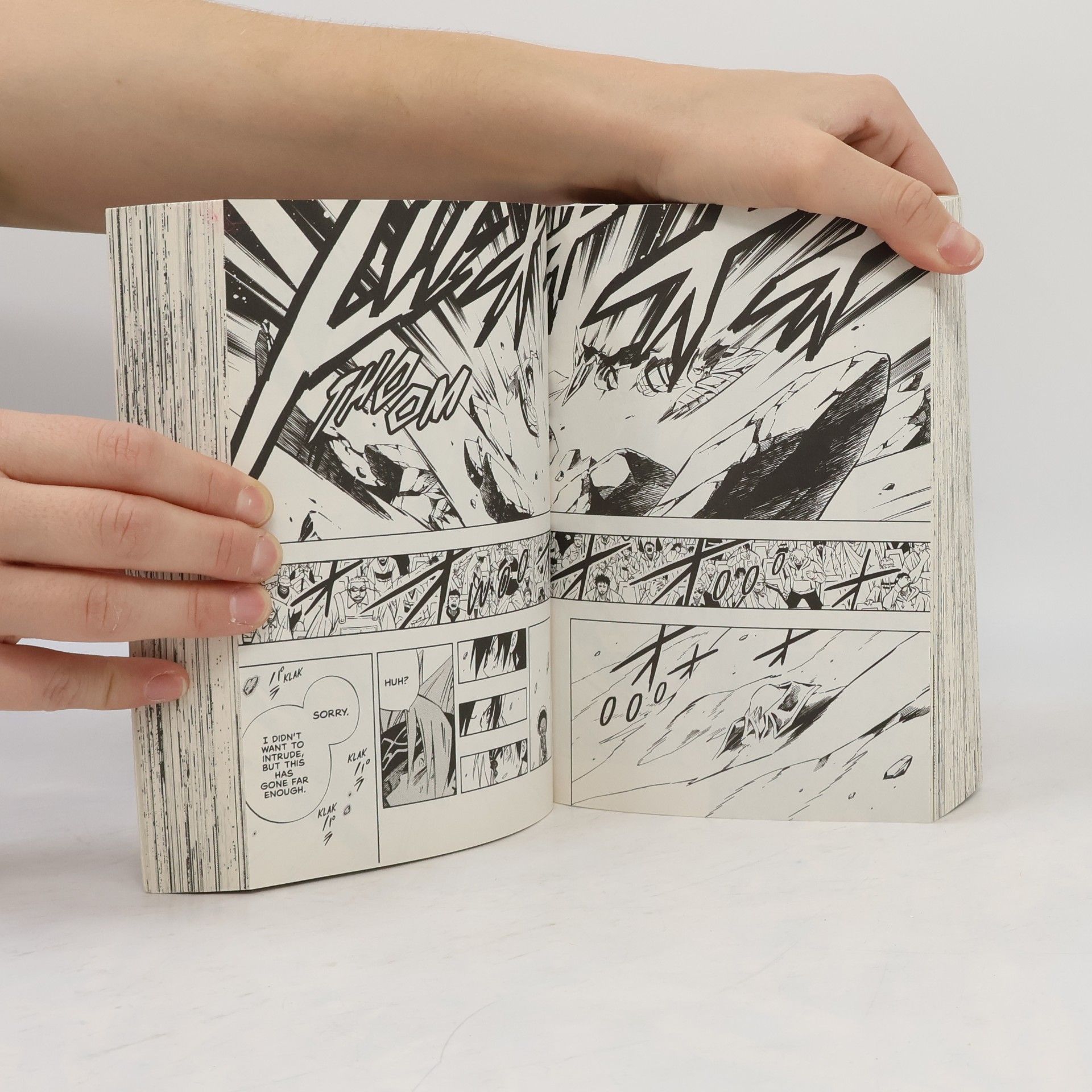 Takei Hiroyuki Shaman King (Vol. 28-30)