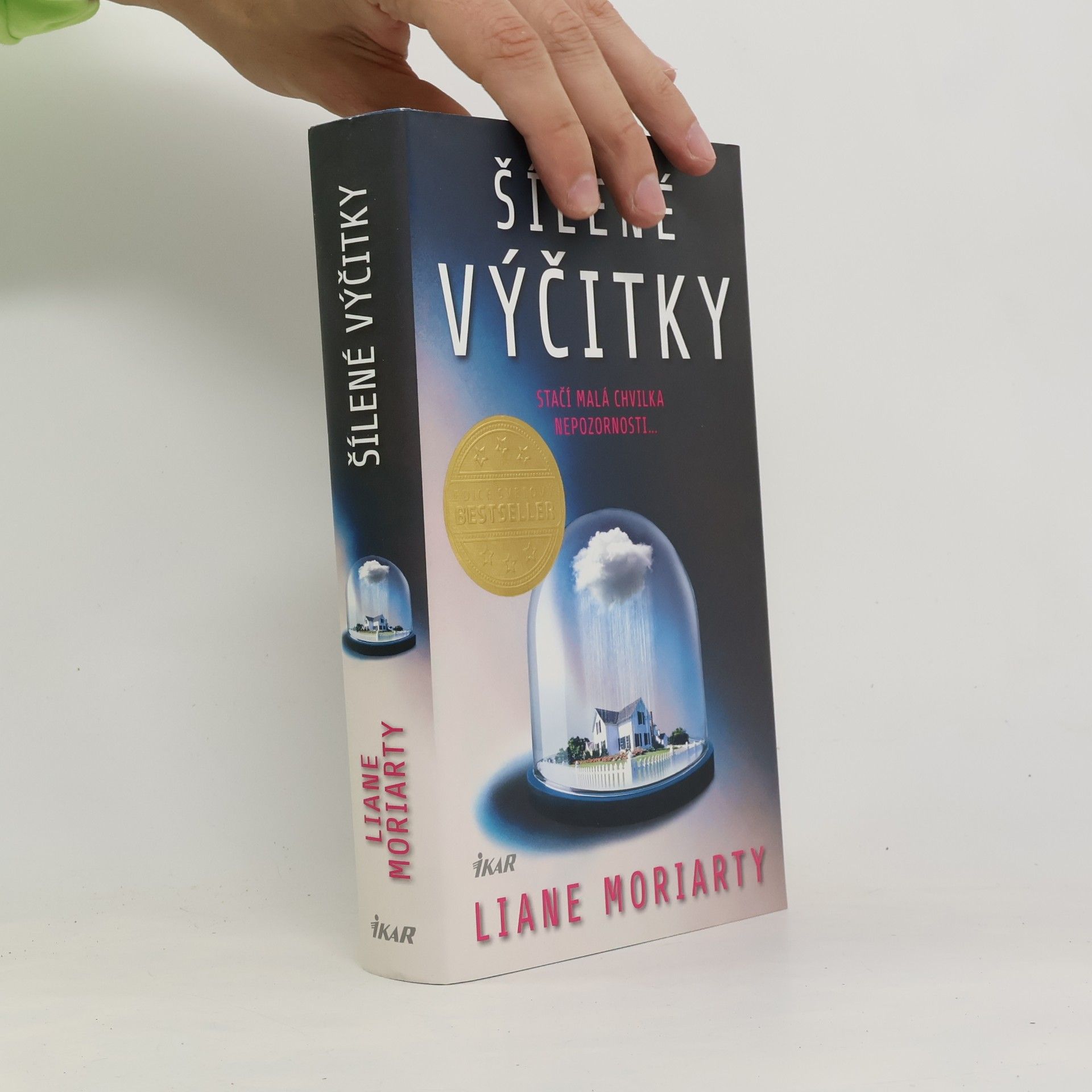Liane Moriarty Šílené výčitky