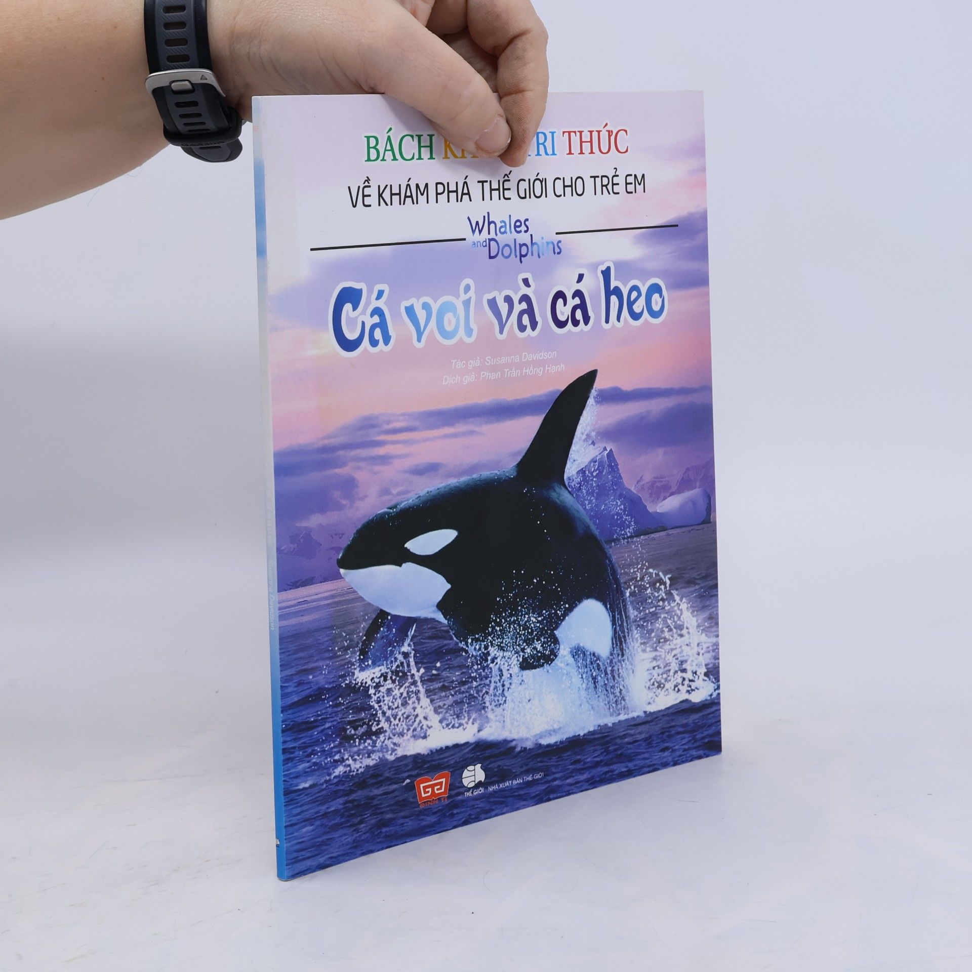 Cá voi và cá heo