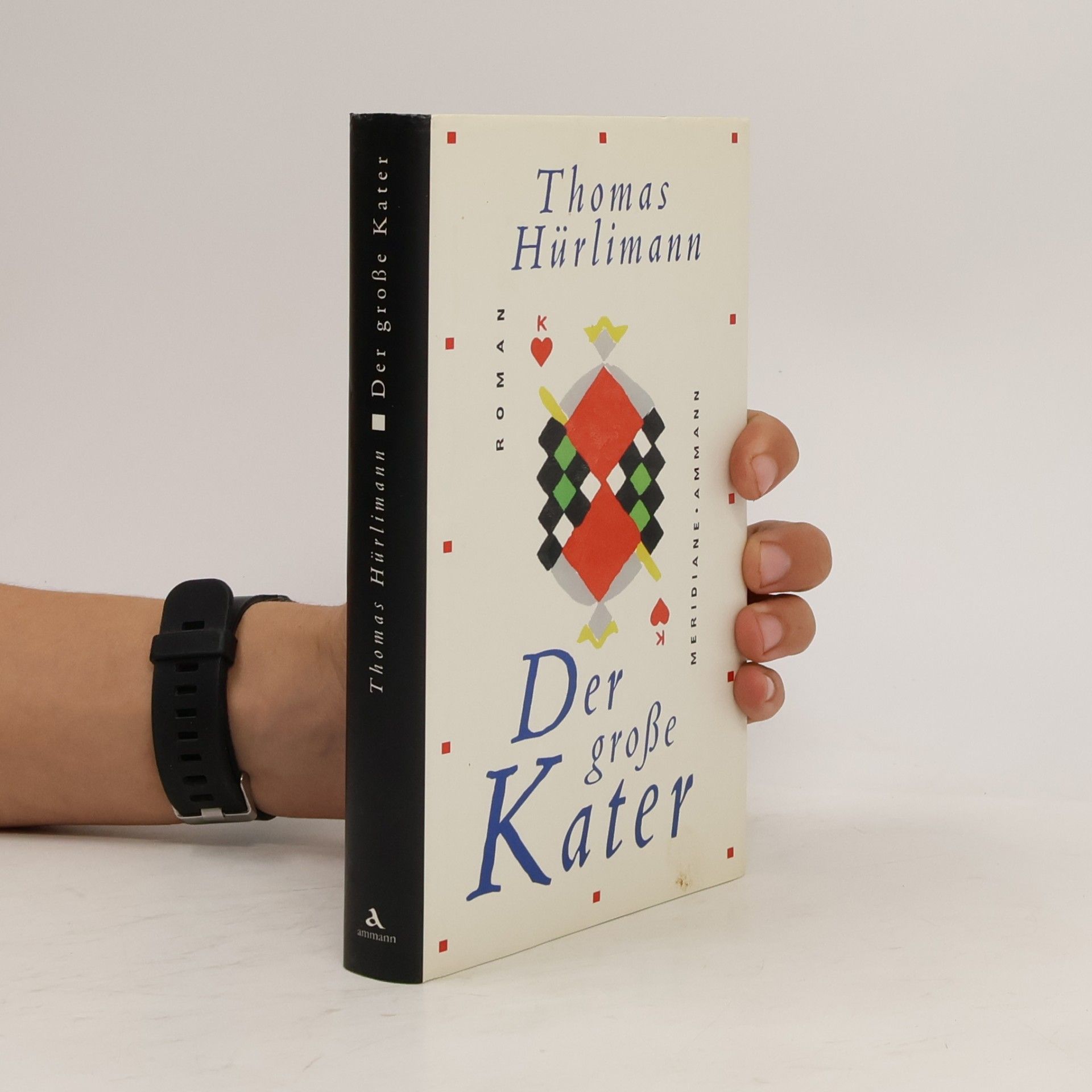 Der große Kater