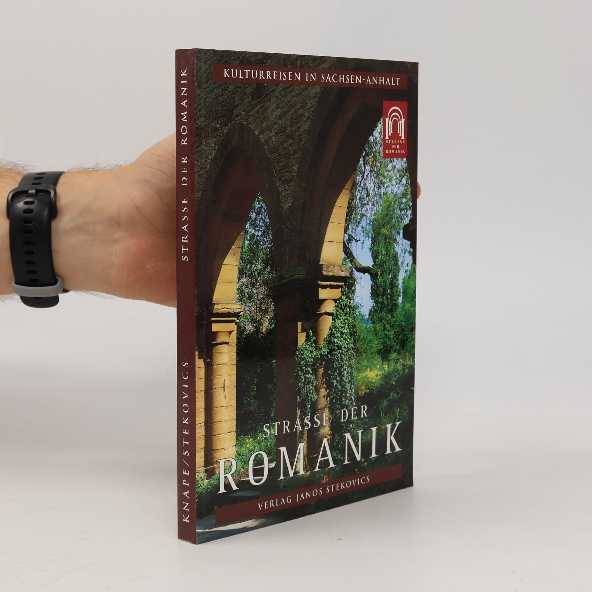 Christian Antz Strasse der Romanik