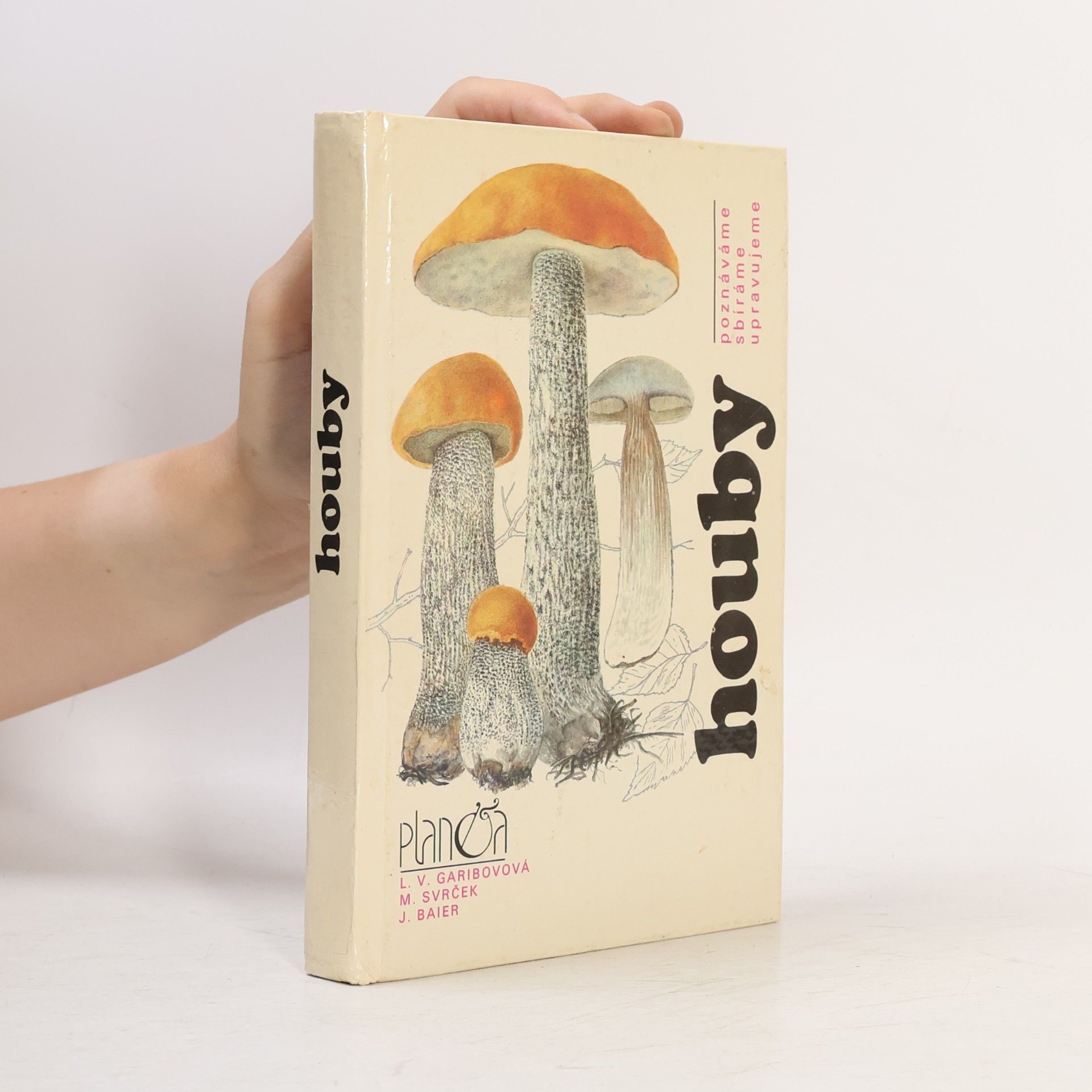 Houby
